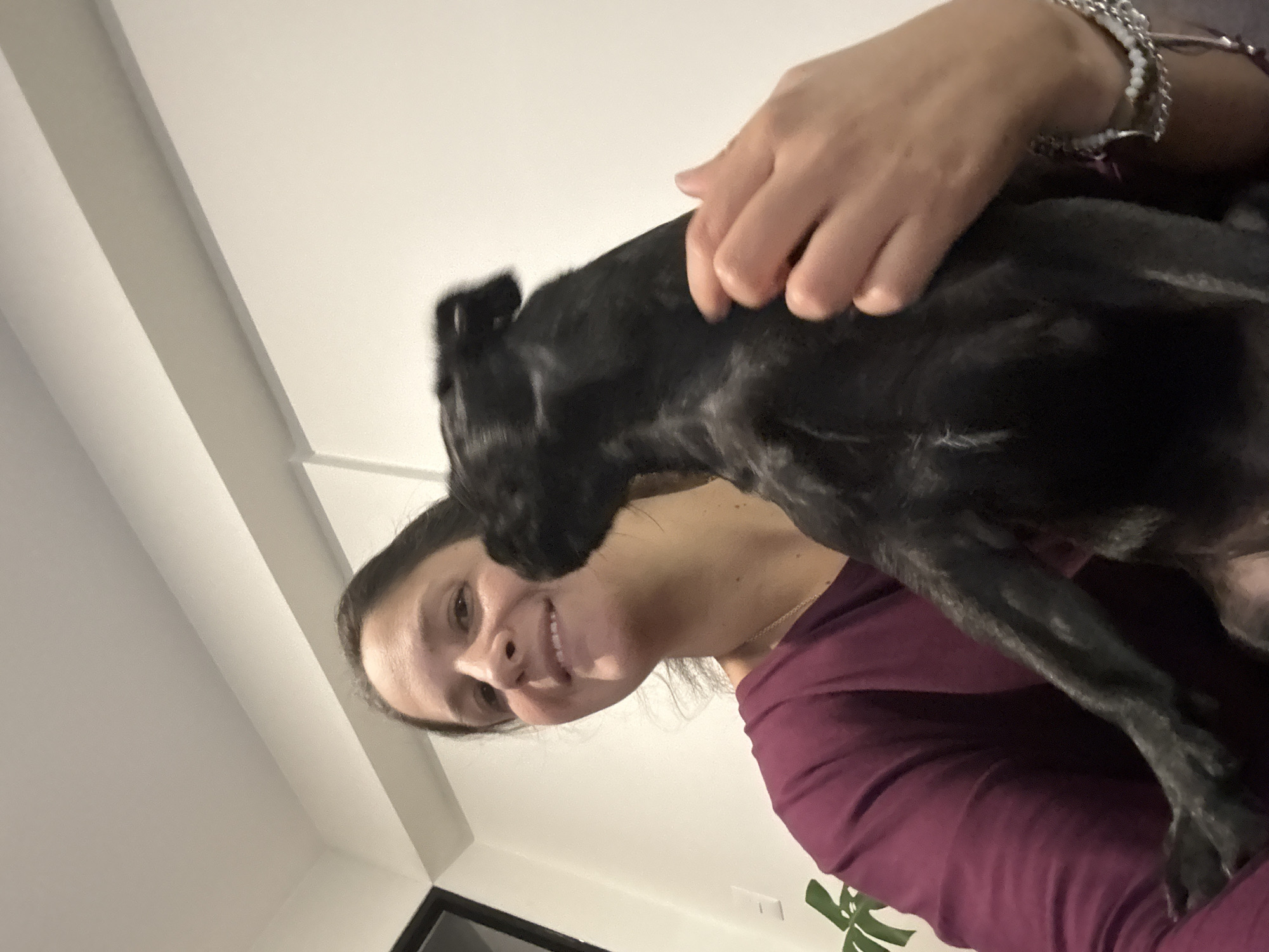 A woman is holding a black dog, likely in a home environment, possibly in Miraflores, Peru, based on the prompt. The woman, with brown hair and a smile, is wearing a maroon shirt. The dog is black with its head turned away from the camera. The background appears to be a plain wall with a decorative molding. The lighting is soft, suggesting indoor illumination. A plant is partially visible on the left side of the image.