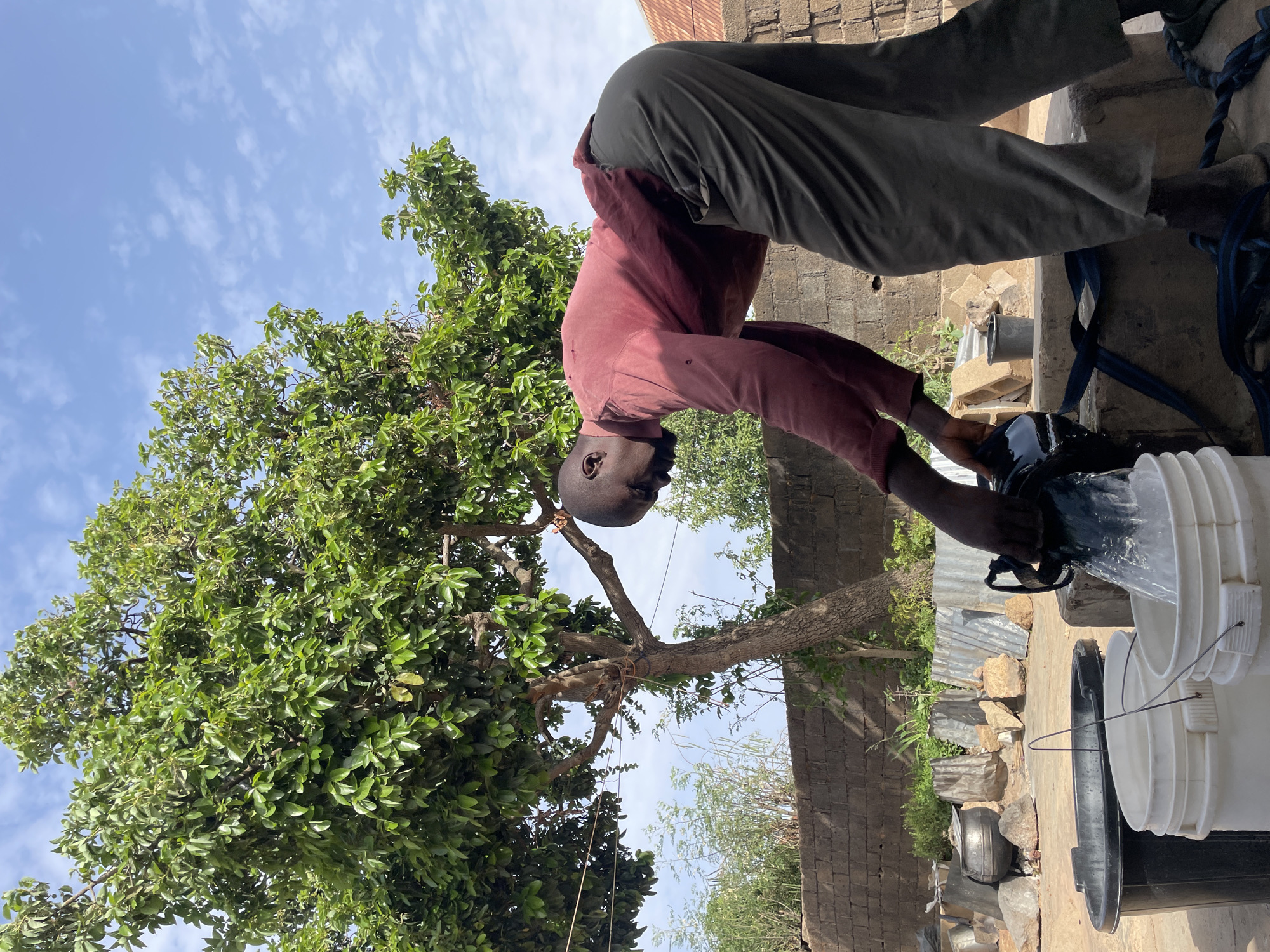 The image, oriented correctly, depicts a man engaged in an outdoor activity under a bright, clear blue sky with scattered wispy clouds, likely during the daytime. The setting appears to be a compound or yard, consistent with the provided context of Jos, Nigeria.
A dark-skinned man, wearing a reddish-brown long-sleeved shirt and dark pants, is positioned on the right side of the frame. He is bent forward, looking down, and actively handling a black bag or container, from which he seems to be pouring a liquid into a white plastic bucket placed on the ground. Another white bucket and a black bucket are visible nearby, suggesting an activity related to water collection or transfer. Blue straps or ropes are also visible near his feet.
To the left, a large, leafy green tree with dense foliage dominates the scene. In the background, behind the man, structures built from brick or cinder blocks are visible, along with corrugated metal sheets and scattered stones. A glimpse of a reddish-brown tiled roof can be seen at the top right. A metal pot is also on the ground in the background. The man's expression appears focused on his task. There is no visible text in the image.