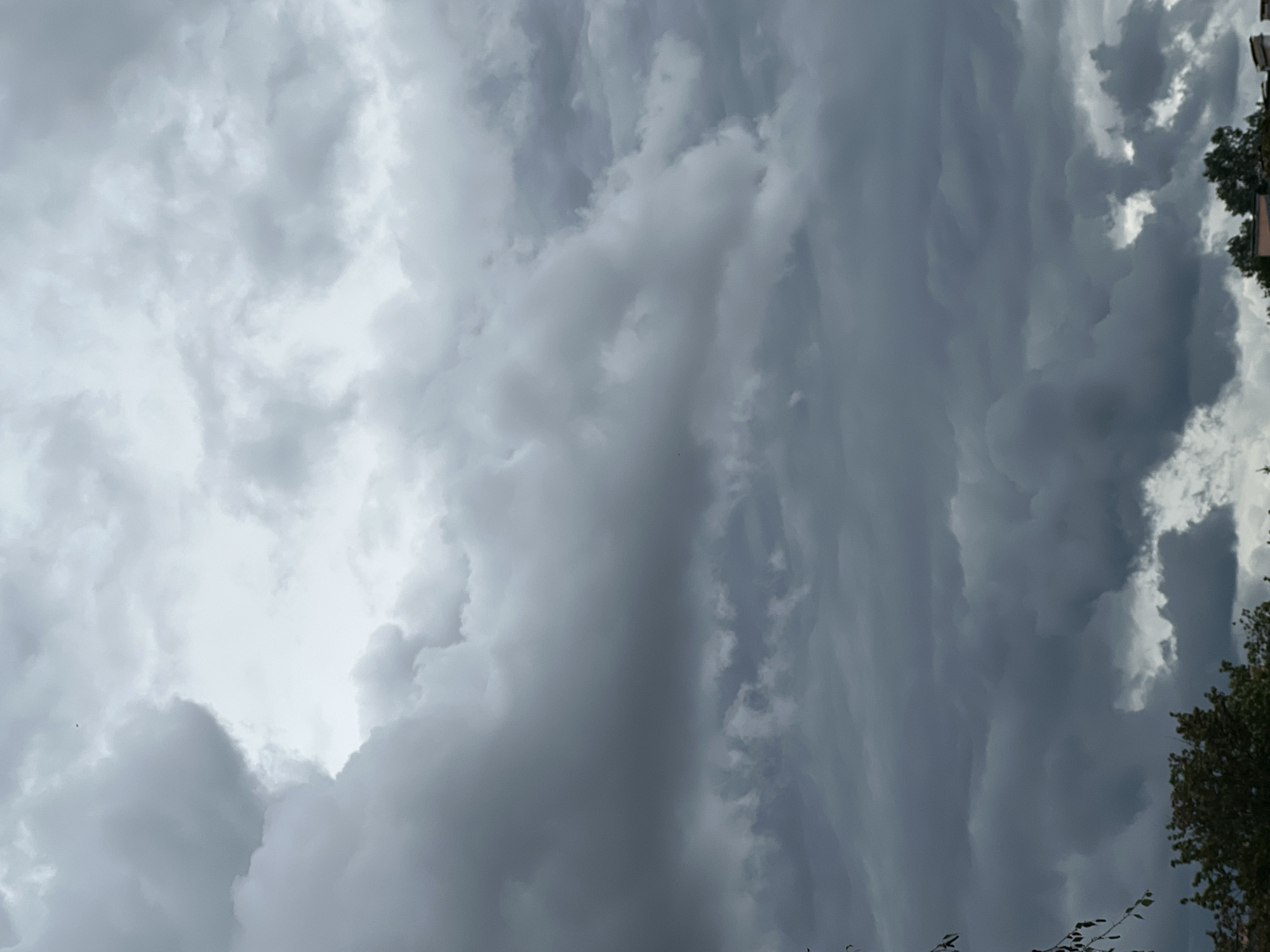 The image shows a cloudy sky over Warsaw, Poland. The clouds are dark and heavy, suggesting an approaching storm. Some trees are visible at the bottom of the frame, indicating an outdoor setting within the city. There are no people or discernible objects in the sky itself.