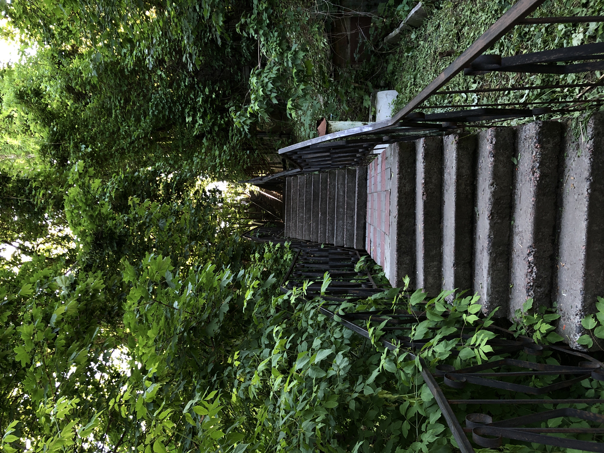 An outdoor, eye-level, medium shot captures a stone staircase with a black metal handrail, ascending through a dense canopy of green foliage. The staircase, constructed from weathered concrete steps with red brick accents at the edges, is partially overgrown with small green plants. The handrail, made of dark metal with decorative scrollwork at the bottom, follows the curve of the stairs. Sunlight filters through the leaves, creating dappled light and shadows on the steps. The surrounding environment is a lush, verdant hillside covered in trees and undergrowth. The scene suggests a secluded or natural setting within an urban environment. There are no people visible in the image.