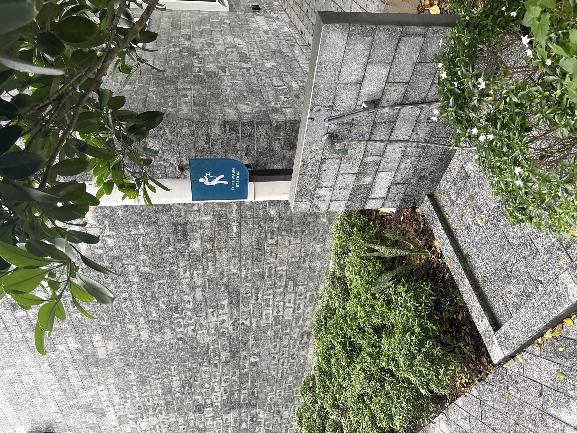 A foot wash station is visible against a grey brick wall in Sakhu, Thailand. The station includes a faucet and a showerhead mounted on a low stone wall. Above the faucet, a blue sign displays a pictogram of a person washing their feet and the text "FOOT WASH STATION". A small bird is perched on the signpost. Lush green bushes line the foreground, and a paved pathway leads to the station. A tree with green leaves partially obscures the top right of the frame.