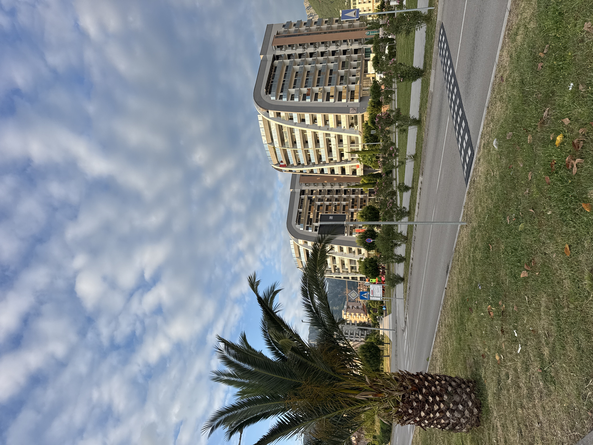 The image captures a street view in the city of Bar, Montenegro, facing towards residential buildings.
The scene features a palm tree in the foreground, partly obstructing the view. The buildings are modern, multi-story structures with a curved facade. Between the palm tree and the buildings is a road with traffic calming measures. A grassy area with scattered leaves borders the road. The sky above is filled with white clouds against a blue backdrop. No people are visible in the scene.