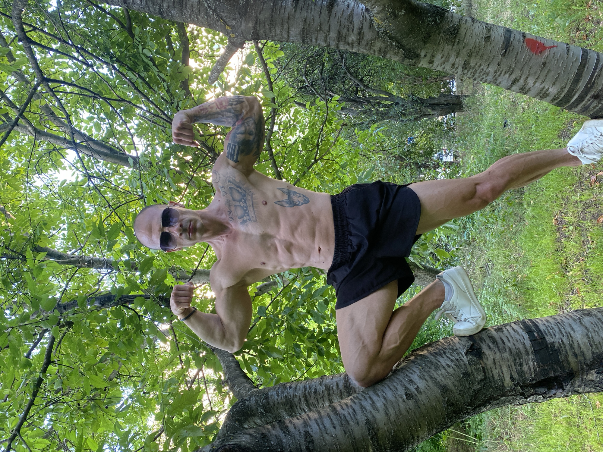 An adult male stands outdoors, posing in a park-like environment in the city of Pleven, Bulgaria. He is shirtless, displaying a muscular, lean physique with visible abdominal muscles and prominent veins on his arms and legs. He has a bald head and wears dark aviator-style sunglasses. His attire consists of black athletic shorts and white sneakers. Tattoos are visible on his body: a crown-like design on his left chest, a Sphynx cat head on his left torso, and intricate, abstract designs on both his left and right arms. He is captured mid-pose, with his left knee bent and his left foot resting against the trunk of a large tree to his left. His right leg is extended, with his right foot resting on the grassy ground near another tree trunk to his right. Both arms are bent at the elbows, with fists clenched, flexing his biceps and triceps. The trees flanking him have textured bark; the left tree shows deep ridges, while the right tree has a smoother, lighter appearance with a distinct red heart-shaped mark painted on its bark. The background consists of dense green foliage from numerous trees, with bright sunlight filtering through the leaves, indicating an outdoor, daytime setting. The ground is covered with green grass and some fallen leaves.