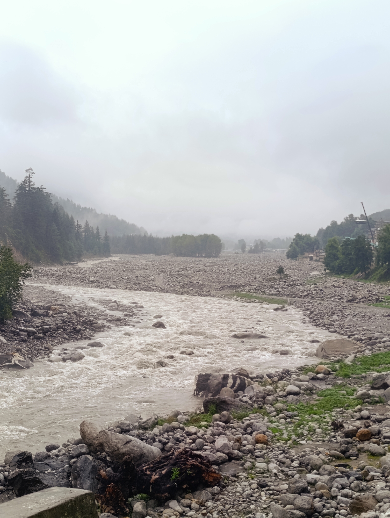 The image depicts a wide, rocky riverbed in Vashisht, India, with a turbulent, muddy river flowing through it. The scene is characterized by a misty, overcast sky, suggesting a cool or rainy day. Dense evergreen forests cover the hillsides that flank the river. The riverbed is densely packed with a variety of grey and brown stones, some of which are submerged by the flowing water. In the distance, hints of buildings and structures can be seen nestled amongst the trees on the right side of the frame, indicating a human presence in the area. The foreground is dominated by a jumble of large rocks and a fallen log, further emphasizing the rugged natural landscape. There are no people visible in the image.