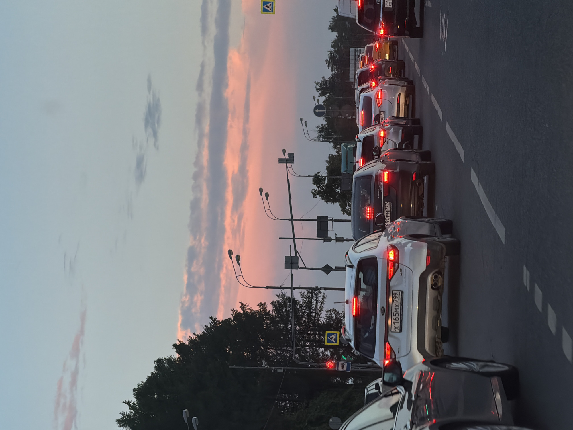 This is a low-angle, vertical shot of a traffic jam on a city street at dusk, with the sky displaying vibrant pink and orange hues from the setting sun. The foreground features the rear of a dark-colored vehicle, partially obscuring the view. To its right, a white SUV is prominent, its brake lights illuminated, with a license plate starting with "X 165 MX 799". Further down the road, multiple other vehicles are lined up, their brake lights creating a pattern of red reflections on the asphalt. On the left side of the frame, dark silhouettes of trees stand tall against the colorful sky. Traffic lights and street lamps are visible, indicating an urban environment. A pedestrian crossing sign is mounted on a pole near the traffic light. The overall scene depicts a typical rush hour traffic situation in Красная Пахра, Russia, as day transitions into night.