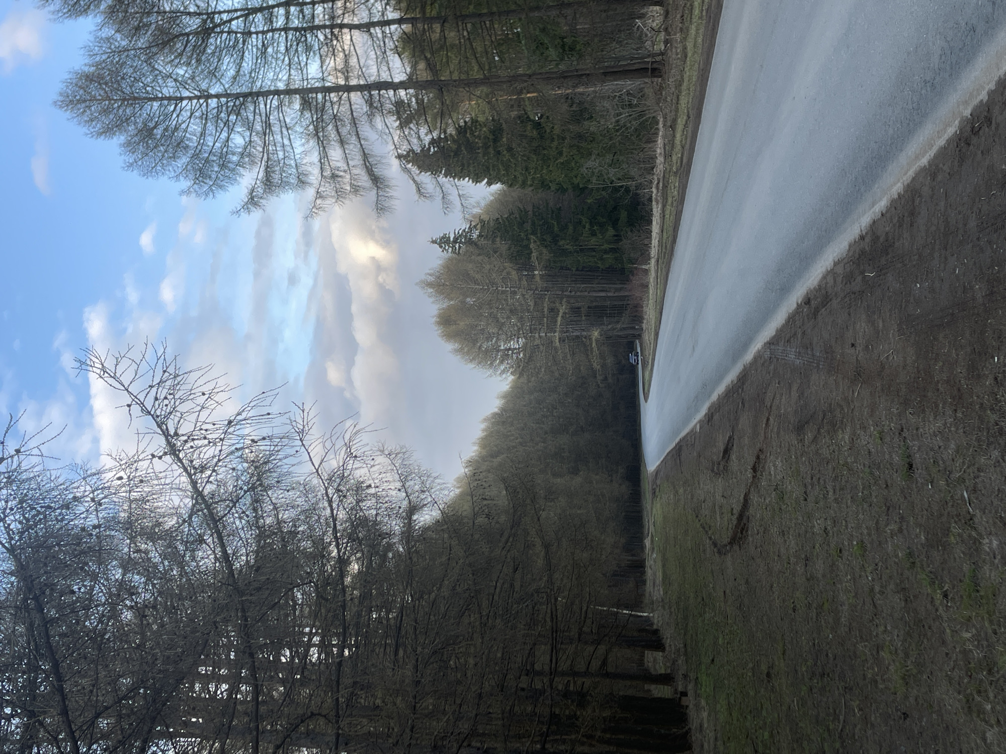The image depicts a quiet, rural landscape featuring a paved road alongside a dense forest under a partly cloudy sky. The perspective is oriented with the road curving slightly from the mid-ground towards the background on the right side, bordered by a strip of damp, dark earth and sparse grass.
On the left side of the frame and extending into the background, a thick forest dominates the scene. In the foreground and mid-ground, many trees are bare, suggesting late autumn, winter, or early spring. These deciduous trees have intricate networks of branches against the sky. Further back and interspersed among the bare trees are dark green evergreen conifers. The overall impression of the forest is dense and extends into a distant hill line.
The sky above is a mix of pale blue patches and soft, greyish-white clouds, some appearing brighter than others, indicating diffused light rather than direct sunlight. The road surface appears wet or damp, reflecting the sky's light subtly, suggesting recent rain or melting conditions. A small, blurry, dark vehicle, possibly a car, is visible in the distance on the road, near the forest's edge.
The color palette is muted, dominated by shades of brown, grey, dark green, and the soft blues and whites of the sky. There is no visible text or identifiable people. The scene conveys a sense of peaceful solitude in a natural, wooded environment, likely in Podshivalovo, Russia, given the context.