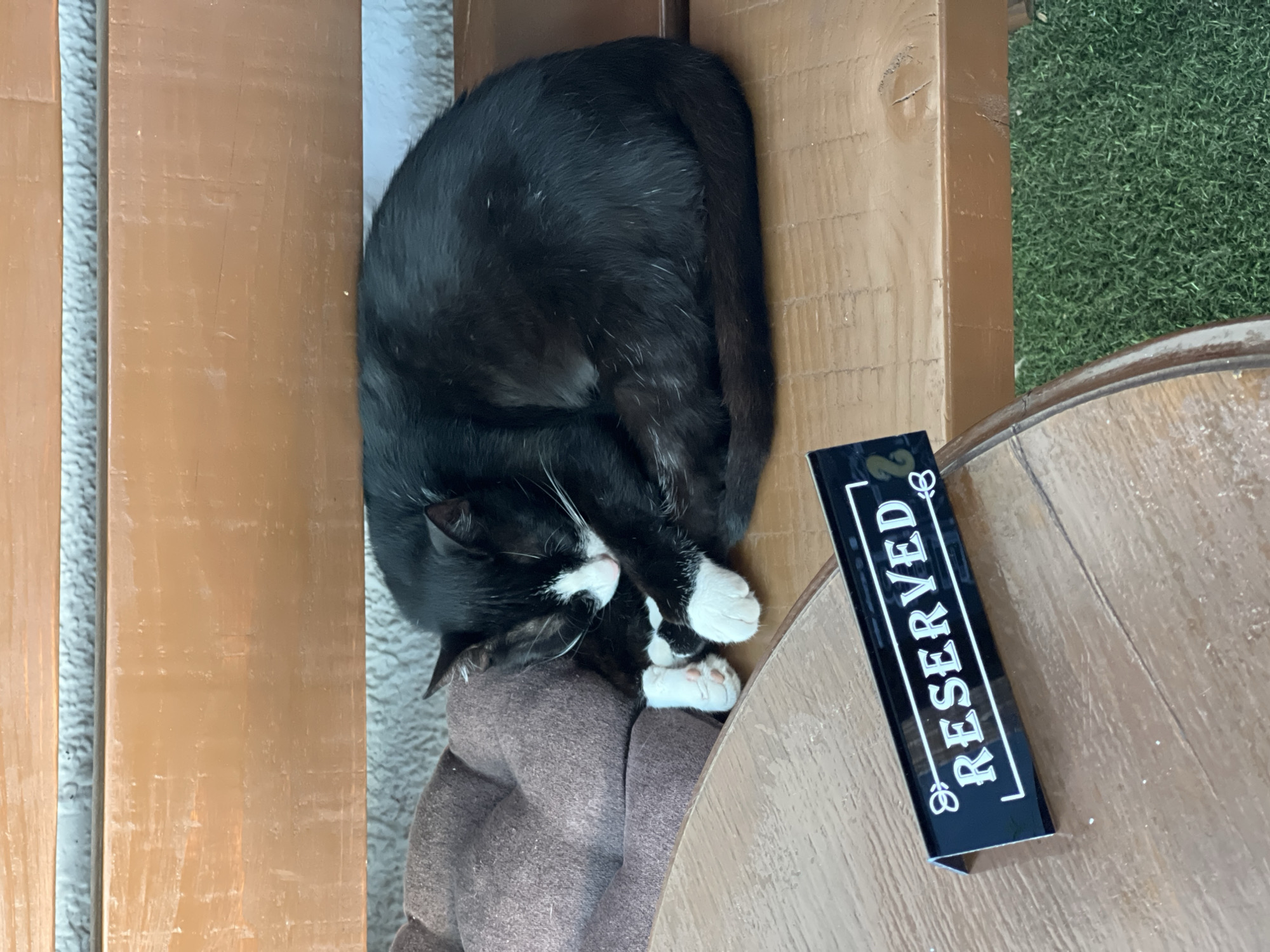 A black and white cat is curled up sleeping on a brown cushioned bench. In front of the bench, a small black sign with white lettering reads "RESERVED 2". The scene appears to be outdoors, with what looks like a wooden table in the foreground and artificial grass in the background. The lighting suggests it is daytime.
