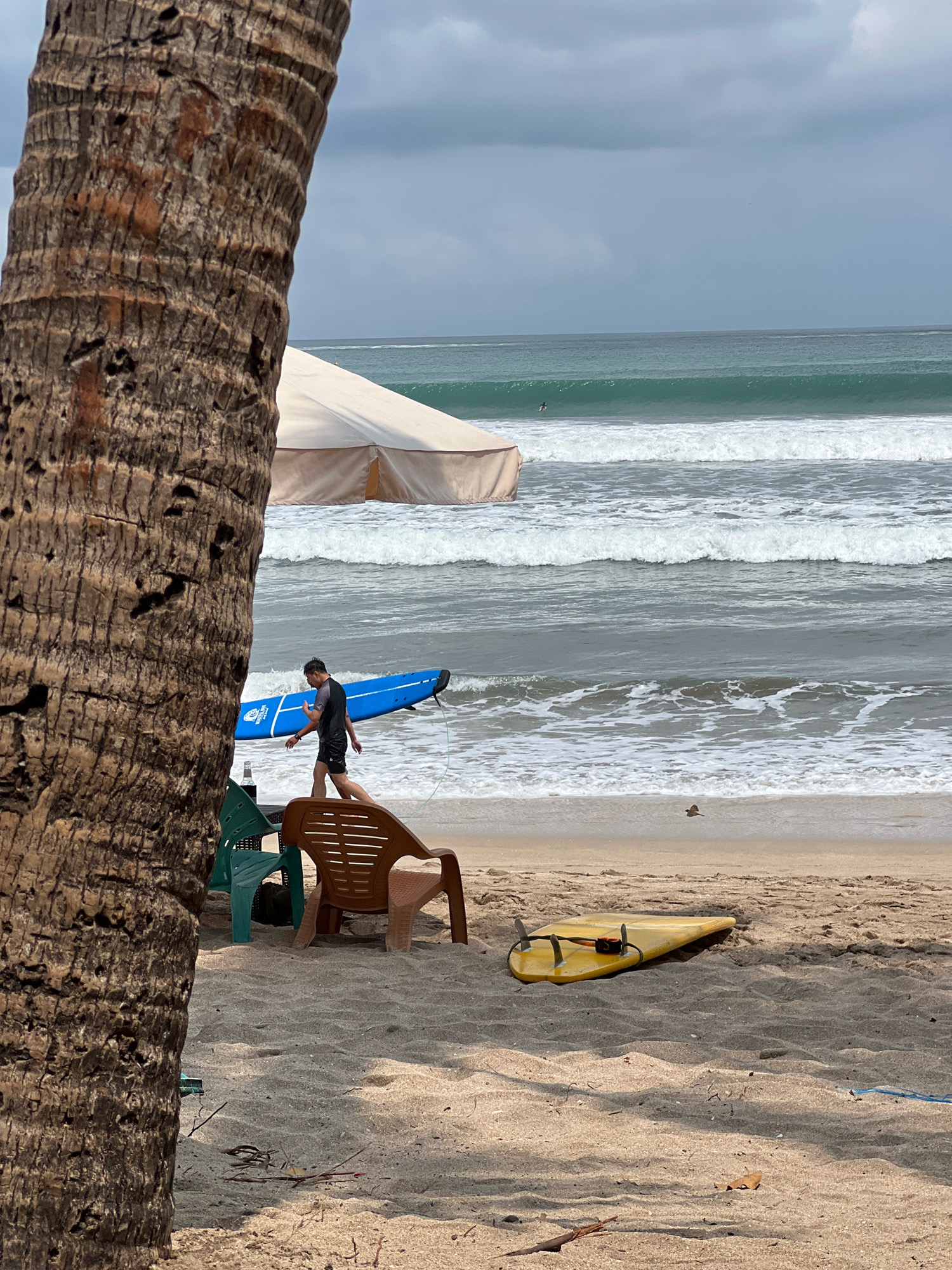 This is an outdoor, eye-level, medium shot of a beach in Kuta, Indonesia. In the foreground, a portion of a large, textured palm tree trunk is on the left side of the frame. Two plastic chairs, one green and one tan, are visible on the sand behind the palm tree. The tan chair is empty, but a person is walking past it. A blue surfboard is being carried by a man, who is walking towards the right side of the frame, away from the ocean. He is wearing a dark t-shirt and dark shorts. Behind him, waves are crashing on the shore, and the ocean extends to the horizon under a cloudy sky. Further back on the sand, a yellow surfboard lies on the ground with its fins pointing upwards. A large, tan-colored tent or canopy is visible in the mid-ground, providing shade. A small bird is in flight over the shoreline in the mid-ground. The overall scene depicts a typical beach day with recreational activities.