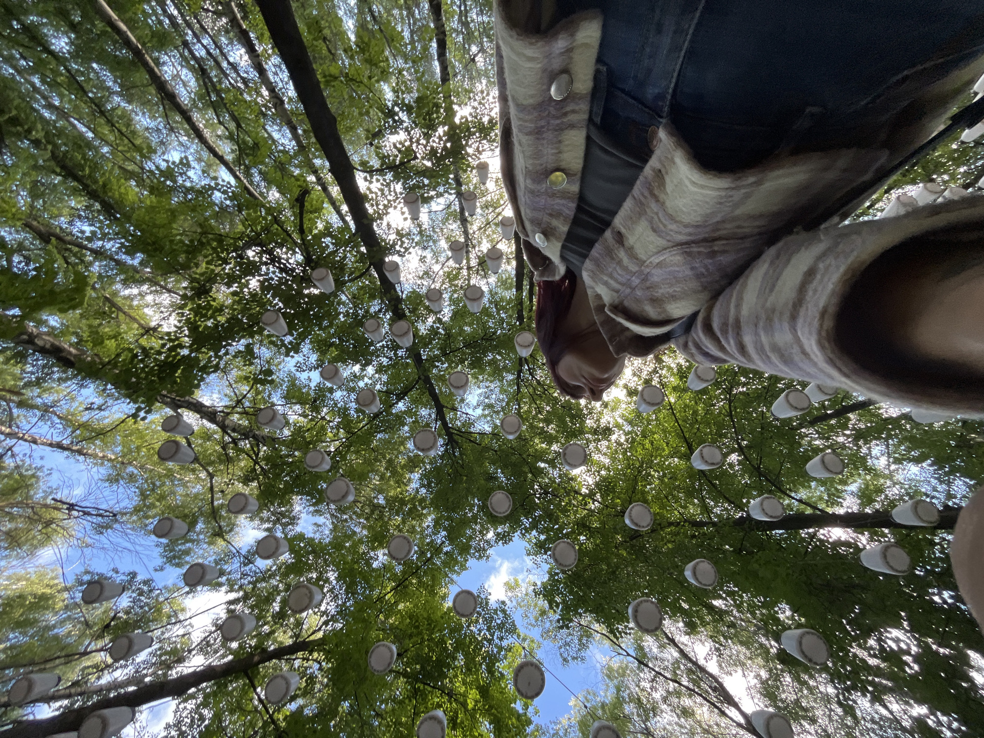 The image is an upward-angle shot of trees with many white, bowl-shaped objects hanging from their branches. A person, with reddish-brown hair, wearing a denim jacket over a plaid shirt, is visible in the lower right portion of the frame, looking up at the objects. The sky is visible between the leaves and branches. The lighting suggests it is daytime, with sunlight filtering through the trees. The scene appears to be an outdoor installation or artistic display, possibly in a park or wooded area. The image does not contain any specific landmarks or visual cues to identify the location as Nizhny Novgorod, Russia.