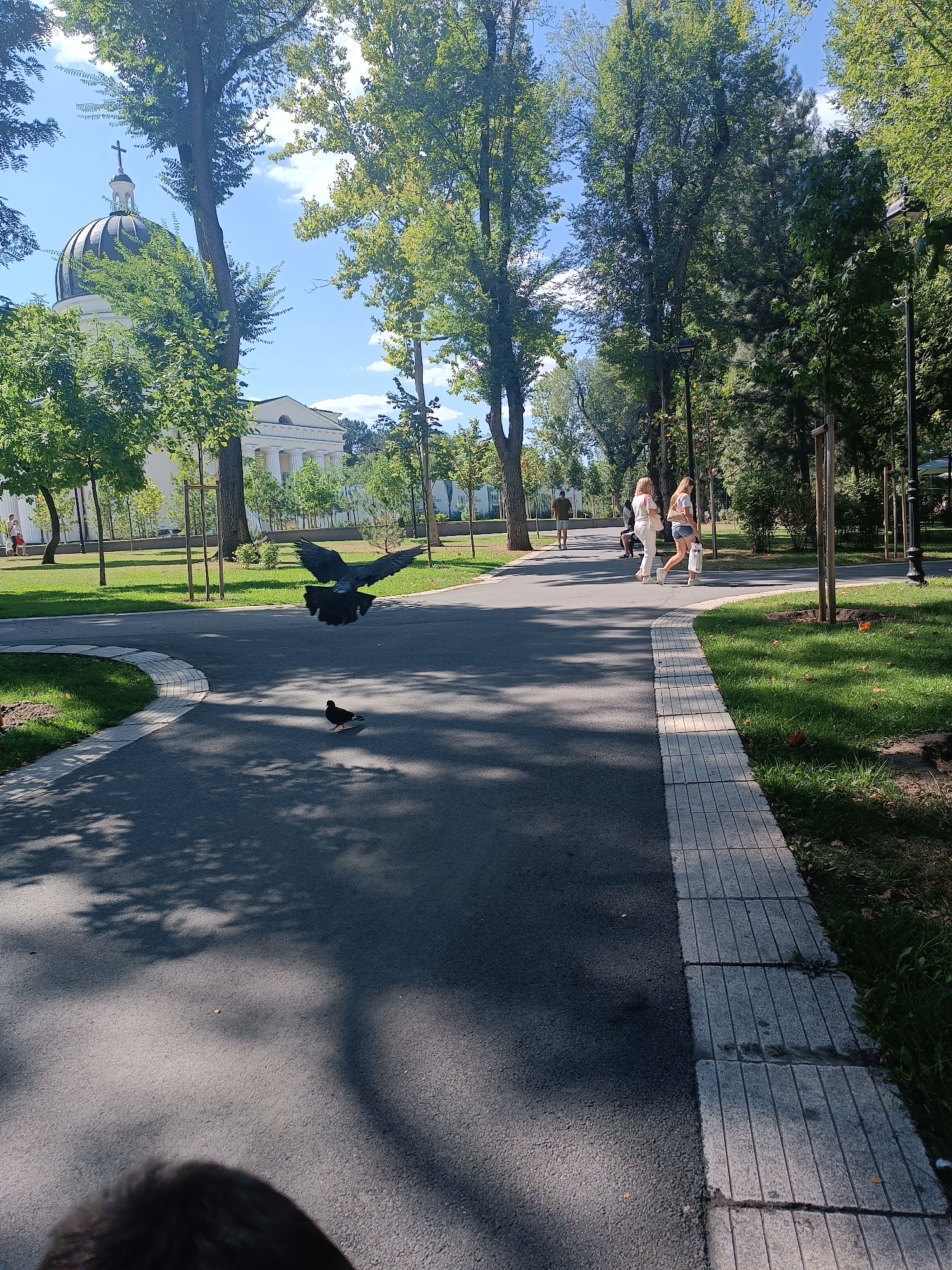 This is a vertical, full-shot photograph taken outdoors on a sunny day in a park area. In the background, on the left, a large building with a dome and a cross on top, and columns in front, is visible, surrounded by green trees. In the middle ground, a paved pathway curves through a grassy park with mature trees. Two women are walking along the pathway, one in a white top and light-colored pants, the other in a white t-shirt and denim shorts. In the foreground, a dark grey pigeon is in flight, with its wings spread wide, casting a shadow on the asphalt path. Another pigeon is standing on the path to the right of the flying one. Shadows of trees are cast across the pathway. The overall environment is a well-maintained urban park. This scene is located in the Cathedral Park in Chișinău, Moldova, with the Nativity Cathedral visible in the background.