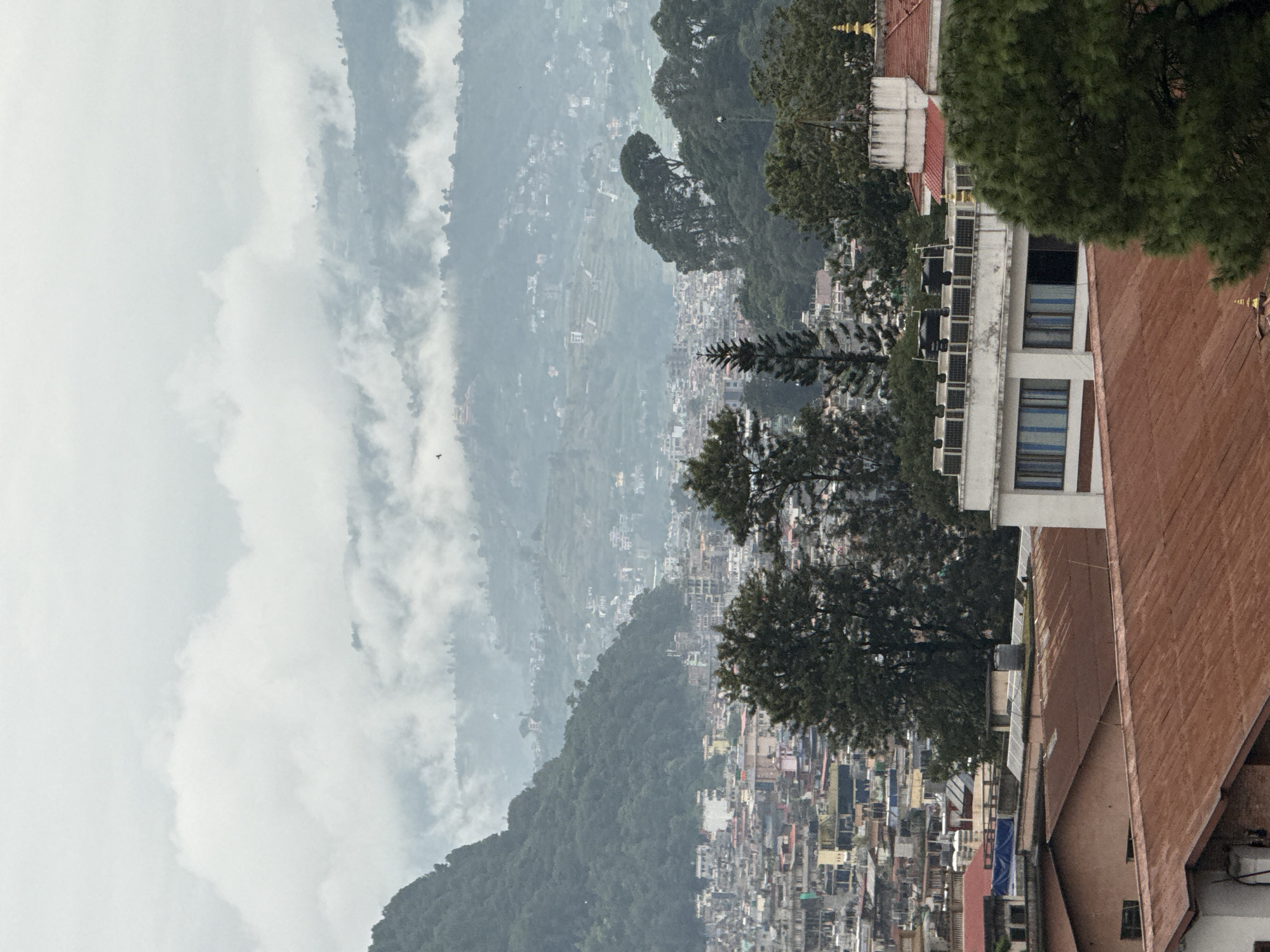 The image is a wide shot of a dense urban area nestled at the base of a lush green mountain range. The city features a mix of low-rise buildings with predominantly flat roofs, some with rusted metal sheeting and others with solar panels. In the foreground, a cluster of these buildings is visible, with a few larger structures with white facades and blue-striped windows standing out. The background is dominated by the densely forested mountain, shrouded in a light mist and fog that partially obscures the receding hills and distant settlements. The sky is overcast and a pale grey. The overall impression is one of a sprawling city integrated with its natural mountainous surroundings under a hazy, possibly rainy, atmosphere.