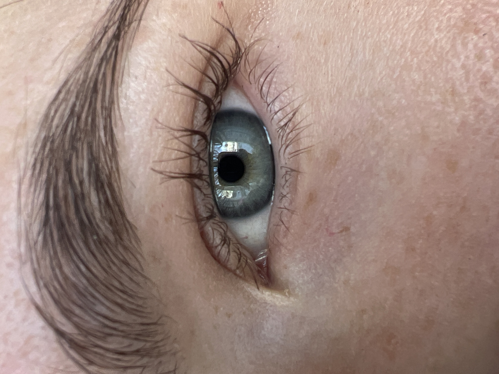 A close-up, angled view of a human eye and eyebrow is presented. The eye is a grey-blue hue, with visible eyelashes and a dark pupil. The eyebrow is thick and brown, exhibiting individual hair strands. The surrounding skin has visible pores and minor blemishes. There is no indication of a location in Chaikovsky, Russia or any other location, and no other people, objects, or actions are depicted.