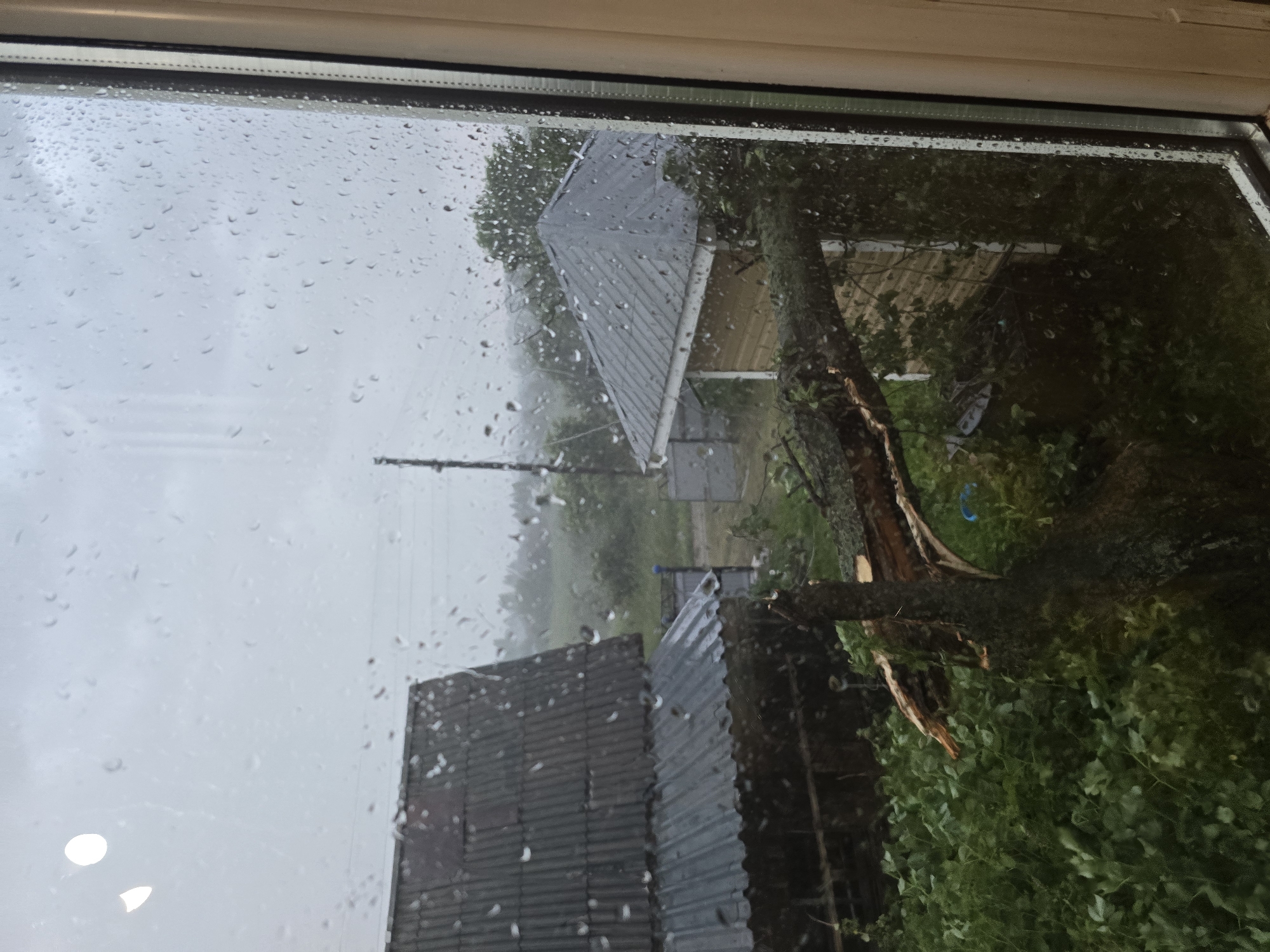 This is a photograph taken from indoors, looking out through a window with water droplets on it, at an outdoor scene in Малая Уса, Russia. The weather appears to be overcast and rainy. In the foreground, a large tree trunk has fallen, its branches scattered across dense green foliage. Behind the fallen tree, there are two buildings. The building on the left has a dark, corrugated metal roof and appears to be a smaller structure. To the right, a yellow building with a grey, angled roof is visible. A utility pole stands in the background, and the overall environment suggests a rural or semi-rural setting. No people are present in the image.
