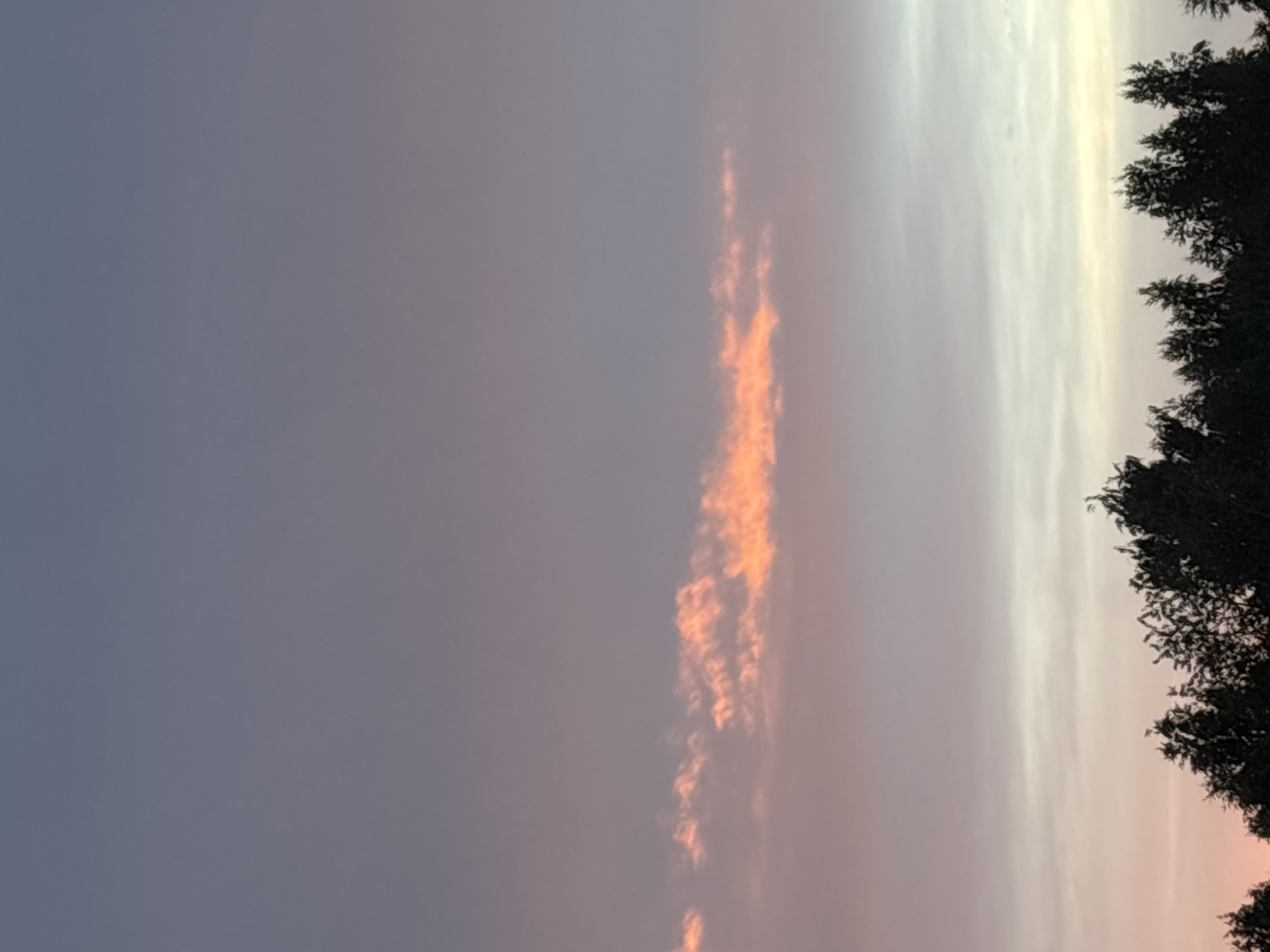 The image shows a sky at dusk or dawn, with hues of purple, pink, and pale orange. A horizontal band of clouds is illuminated by the setting or rising sun, appearing bright orange. The top portion of the image is a gradient from deep purple to lighter shades. The bottom of the image features the dark silhouettes of trees against the lighter sky. This scene is observed from Pavlovo, Russia.