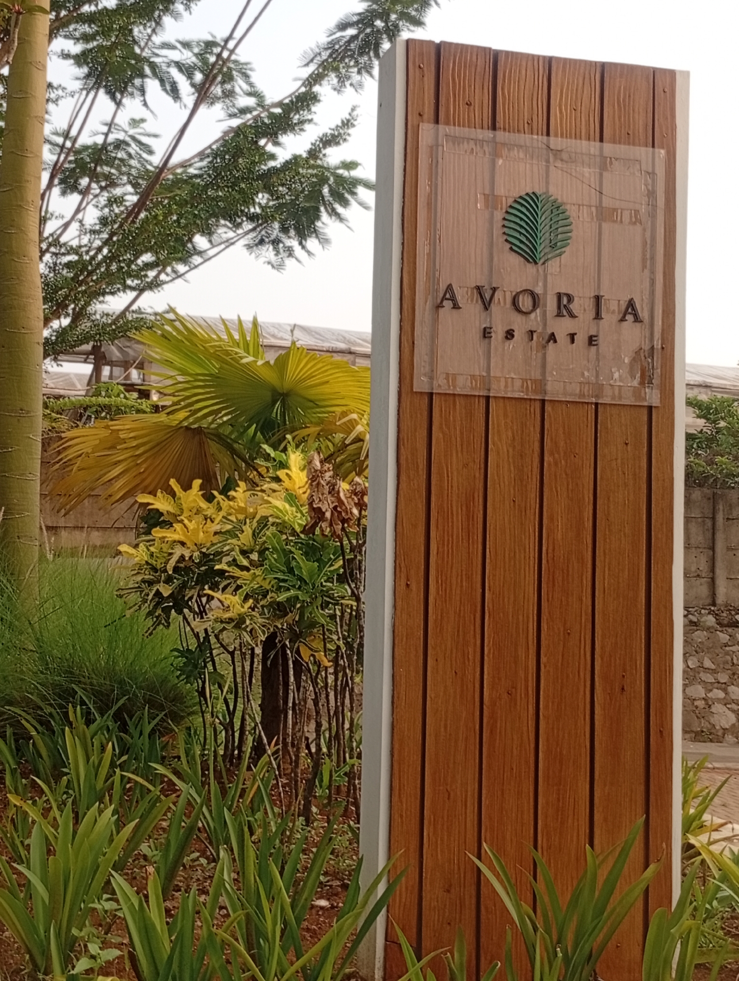 A vertical, medium shot captures a sign for "AVORIA ESTATE" situated in Kemang, Indonesia. The sign is mounted on a wooden post that is vertically paneled with a reddish-brown finish. Above the text, a green leaf emblem is displayed. The sign itself appears to be made of a transparent material, possibly acrylic, with the text and emblem applied to it.
Surrounding the signpost are various elements of lush vegetation. To the left, a portion of a thick, light-brown tree trunk is visible. In the middle ground, palm-like leaves in vibrant yellow and green hues fan out. Denser foliage with smaller, variegated yellow and green leaves is also present. The foreground is filled with sword-shaped green leaves of a low-lying plant. In the background, a glimpse of a concrete wall and some structures with translucent roofing can be seen. The overall impression is of a well-maintained entryway or residential development. The sky is bright and overcast, suggesting daylight. No people are visible in the image.