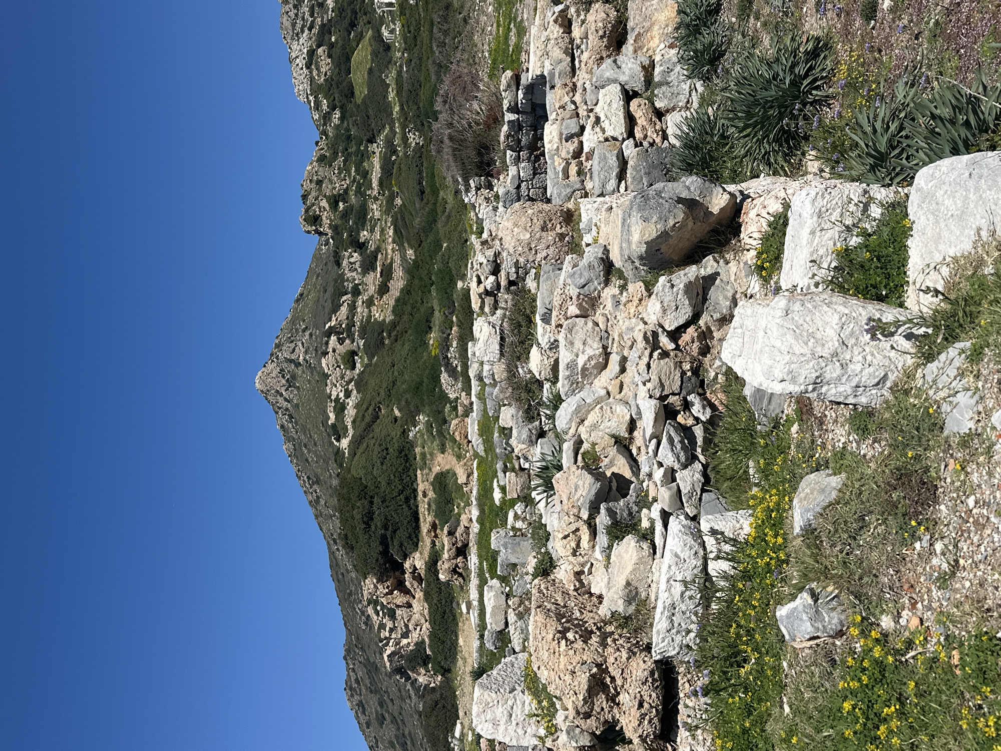 The image shows a hillside with a clear blue sky to the left. A rugged mountain rises on the left side of the frame, covered with sparse vegetation and exposed rock. To the right, there are remains of a stone structure or wall, comprised of various sized rocks and stones. Patches of green vegetation and small yellow flowers grow amongst the stones and on the hillside.
This image could be from the ancient city of Knidos, located near Datça, Turkey, which is an area known for its historic ruins and natural landscape.