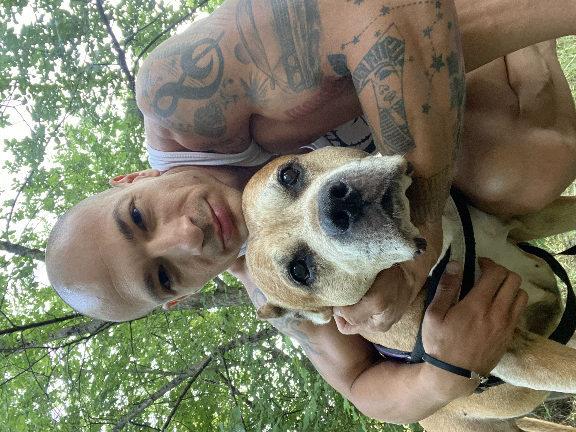 A man with a shaved head, wearing a white tank top and a black bracelet, is holding a light brown dog close to his face. Both are outdoors, with lush green trees and foliage in the background. The man's arms are covered in tattoos. The dog appears to be wearing a harness. The scene is likely in a park or wooded area. The image does not contain any identifiable landmarks of Pleven, Bulgaria.