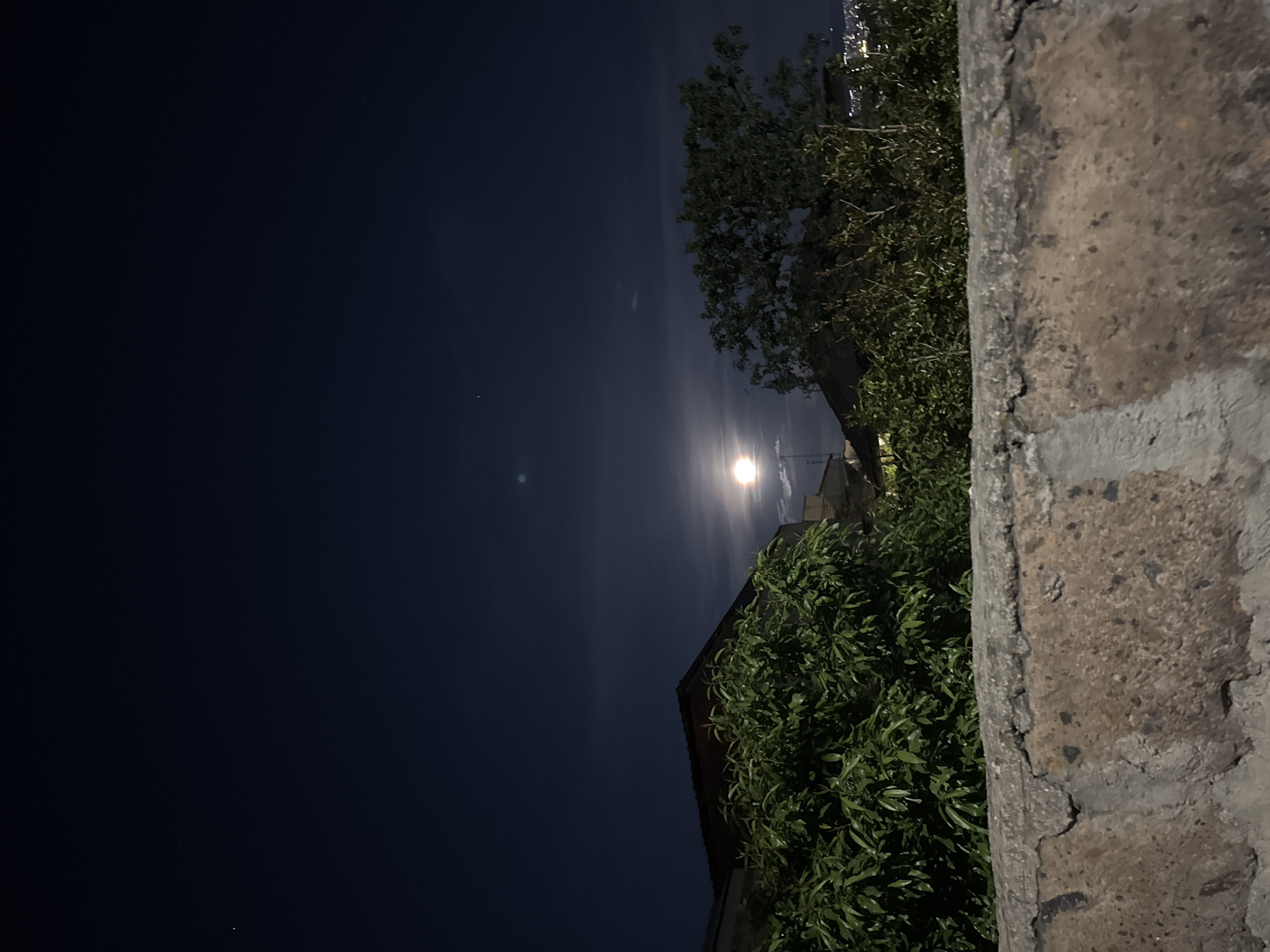 The image, rotated 90 degrees clockwise, captures a serene moonlit night in Yerevan, Armenia. The deep indigo-black sky dominates the left and upper portions of the frame, with a bright, nearly full moon positioned in the middle right. The moon emits a powerful white glow, with a distinct vertical beam of light suggesting atmospheric haze. Scattered faintly across the darker sky are a few tiny points of light, likely stars.
In the mid-ground, dense, dark green foliage from trees or large bushes occupies the lower right and mid-right areas, with their leaves clearly discernible. Behind and amidst this greenery, dark silhouettes of buildings or rooftops are faintly visible. In the upper right corner, distant, scattered city lights can be perceived beyond the trees.
A prominent, rugged concrete or stone wall, showing cracks, rough texture, and variations in grey and brown tones, runs vertically along the far right edge, acting as a foreground element. The scene is devoid of people or visible text, conveying a quiet, ethereal atmosphere illuminated solely by the moonlight.