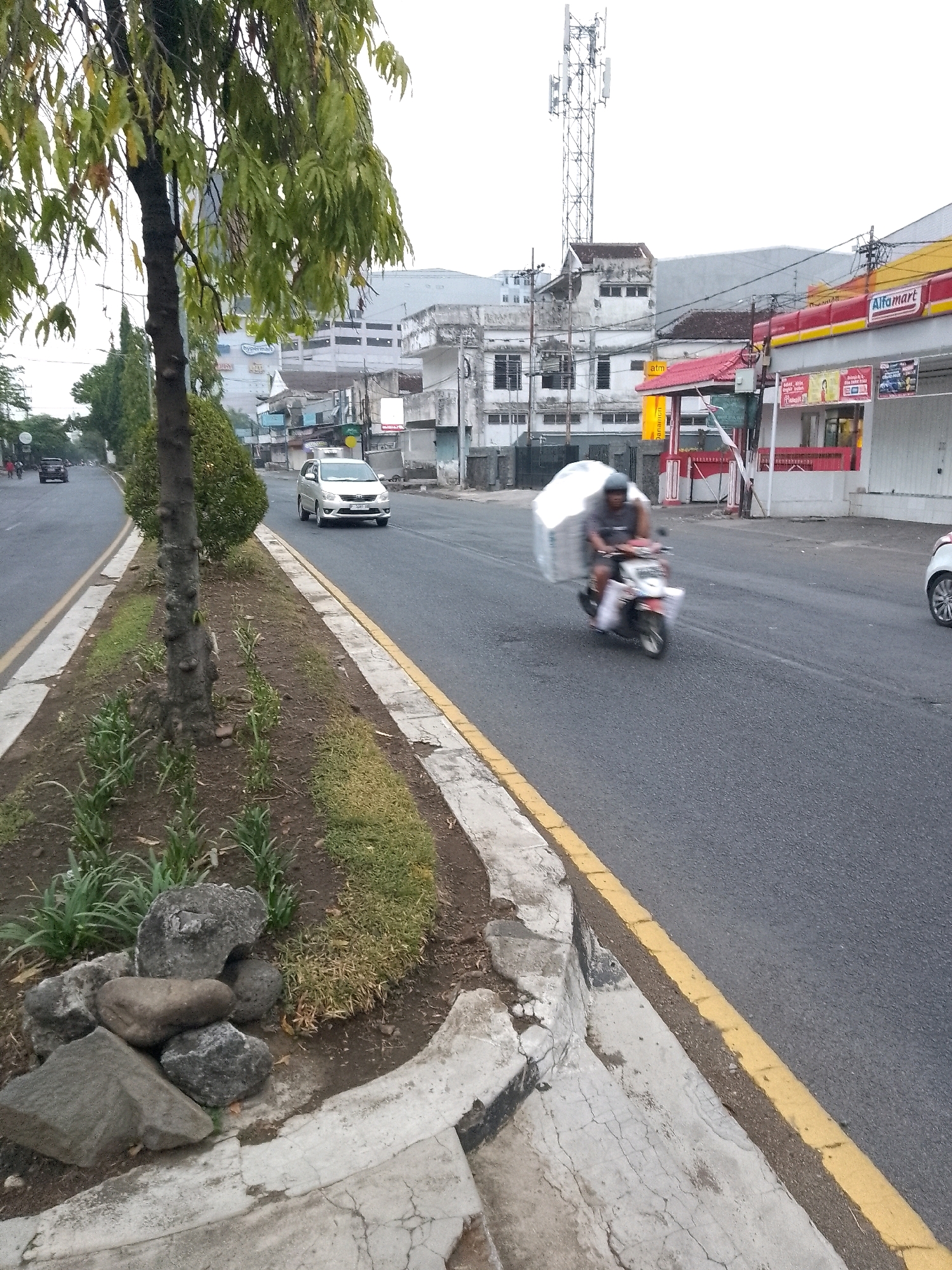 A medium shot captures a street scene in Jember, Indonesia, on an overcast day. On the right side of the asphalt road, a motorcycle rider is transporting a large, white, amorphous load that wraps around them. The motorcycle is in motion, indicated by motion blur. To the left of the road, a raised median strip is visible, featuring a tree with green foliage, a bush, and some greenery planted in the soil. Several rocks are placed on the median, near the edge of the concrete curb. In the background, buildings line the street, including a structure with a red and yellow awning that reads "Alfamart." A tall cell tower stands behind some of the buildings. A silver car is driving away from the viewer on the right lane of the road, and another dark-colored car is visible further down the left lane. The scene suggests a commercial or residential area in the city.