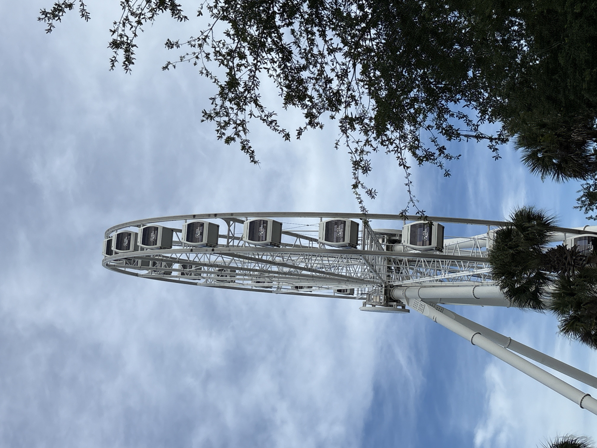 This is a low-angle, full outdoor shot of a Ferris wheel in Panama City Beach, United States of America. The Ferris wheel is white and features multiple gondolas, each with windows. The sky is partially cloudy with patches of blue. To the right of the Ferris wheel, there is a dark green tree with thin branches and leaves. In the foreground, there are palm trees. The image is taken during the daytime.