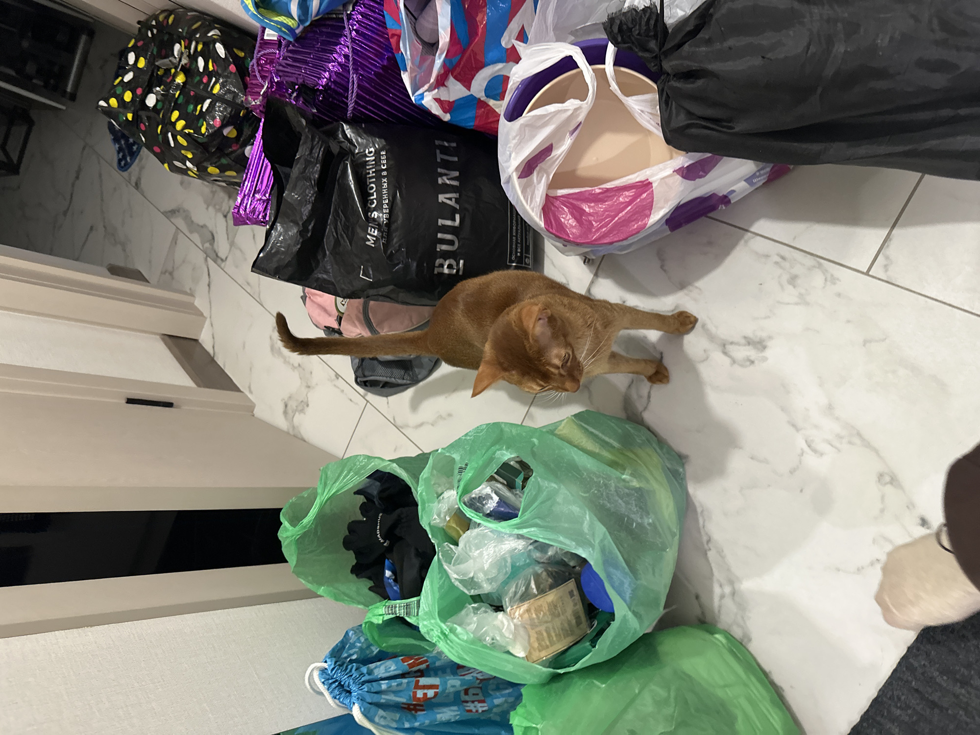 The scene is an interior shot of a room with a marble-tiled floor. Several shopping bags of various colors and materials are scattered on the floor, including black, purple, white/pink, and green plastic bags. A slender, short-haired, orange cat is stretched out on the floor amongst the bags. One partially visible person in the lower right corner of the image. There is a door in the background. The location is Kazan, Russia.