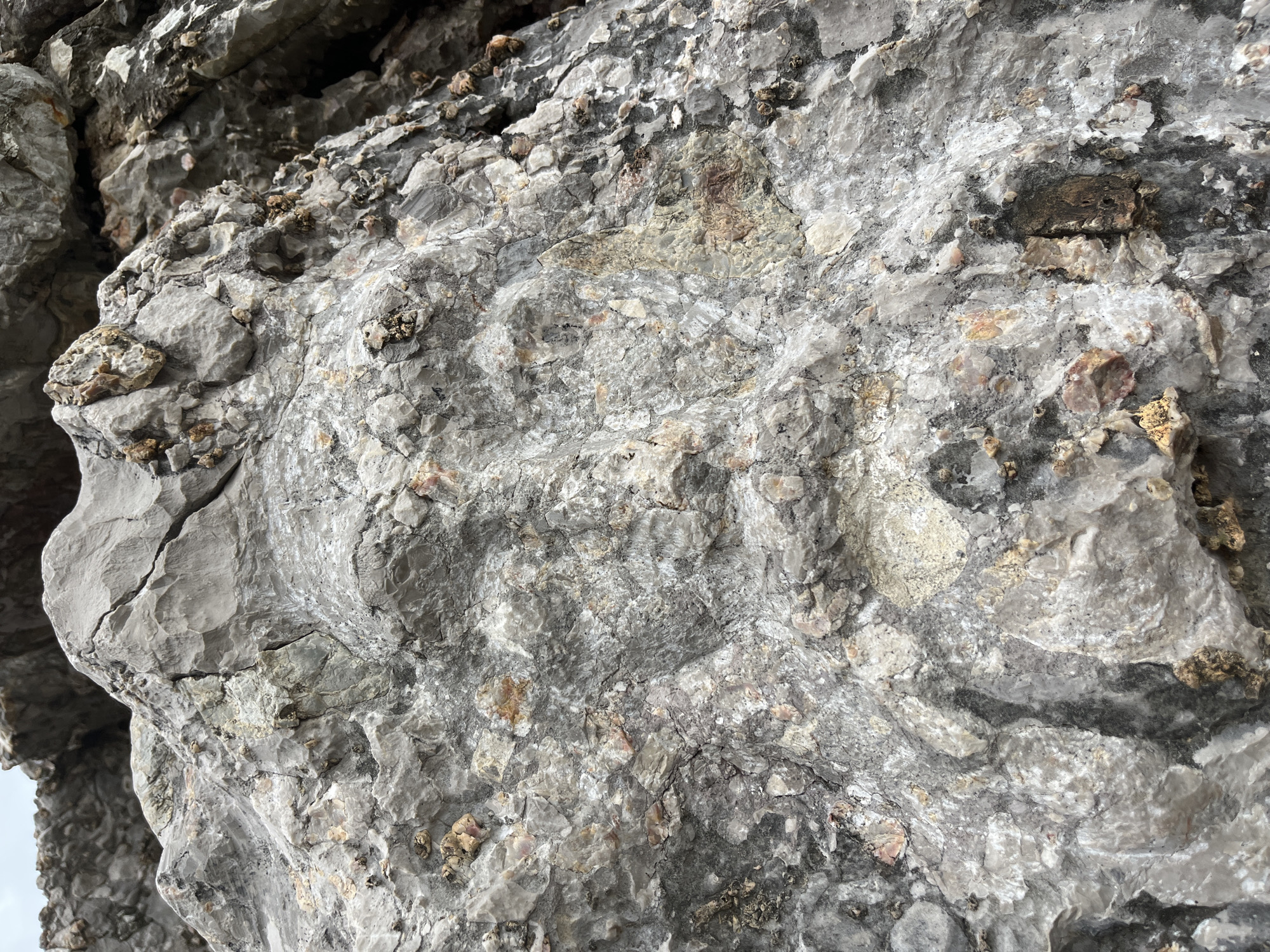 The image shows a close-up of a rock formation. The rock is predominantly grey with variations in color, including white and tan. It has a rough and uneven texture due to the presence of cracks, crevices, and embedded particles. There are no people, objects, actions, or interactions visible in the image.
Based on the prompt and the appearance of the rock, it is likely that the rock is a part of the coastal region of Budva, Montenegro.