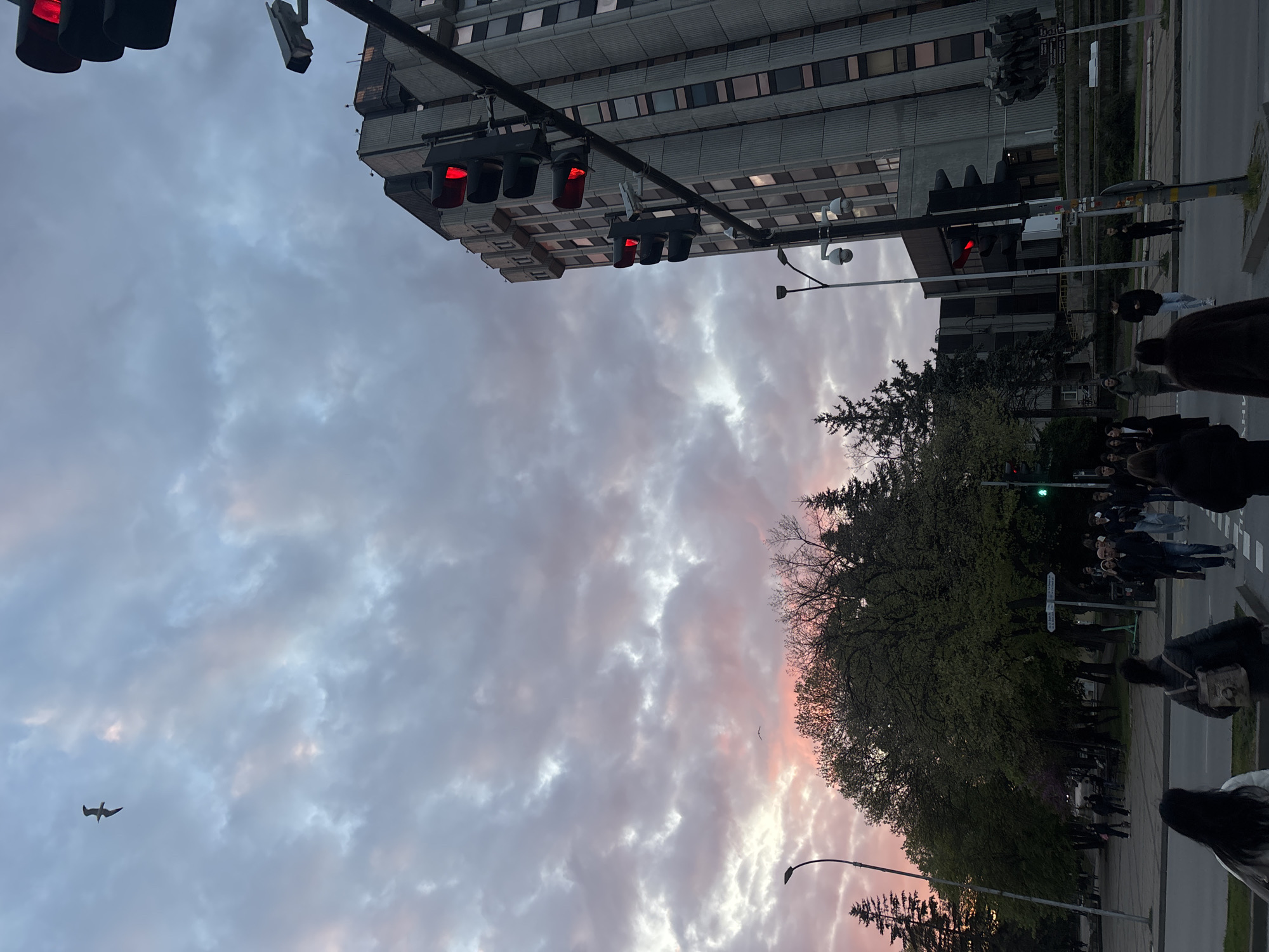 The image, originally rotated 90 degrees counter-clockwise, captures an urban street scene at dusk or dawn in Varna, Bulgaria. The sky is a prominent feature, displaying a dramatic mix of soft grey, white, pink, orange, and light purple clouds, characteristic of either sunrise or sunset. A solitary bird is seen flying against this colorful sky in the upper left.
In the upper right, a tall, multi-story building with a modern or Brutalist architectural style and numerous windows dominates the background. Multiple sets of traffic lights are suspended above the street, with most displaying red signals, indicating a stop, while one lower traffic light shows green. Streetlights and other poles are also visible.
At street level, a crosswalk is partially discernible. Several people are present on the sidewalks; some appear to be waiting to cross the street, while others are walking. Their clothing is casual, typical of daily urban life, and their faces are generally indistinct due to distance and lighting. Mature trees with green foliage are scattered along the street, providing natural elements within the city environment. The overall impression is that of a calm, everyday moment in a city, marked by the striking colors of the twilight sky. No clearly legible text is visible on any signs or objects within the frame.