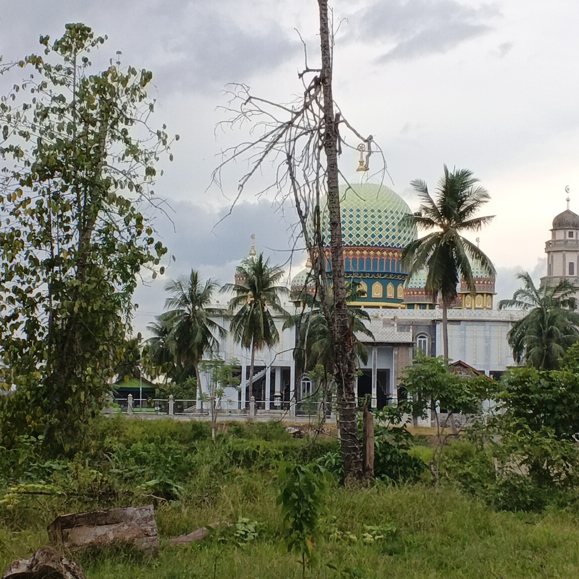 A mosque with a green, patterned dome and ornate blue and gold trim stands prominently in the background of this overcast outdoor scene. The mosque features multiple domes and a tall, slender minaret. In the foreground, a dense, green grassy area is dotted with various trees and foliage, some of which are dead and bare. A dried, fallen tree trunk rests on the grass to the left. The image is captured in Geunteng, Indonesia.