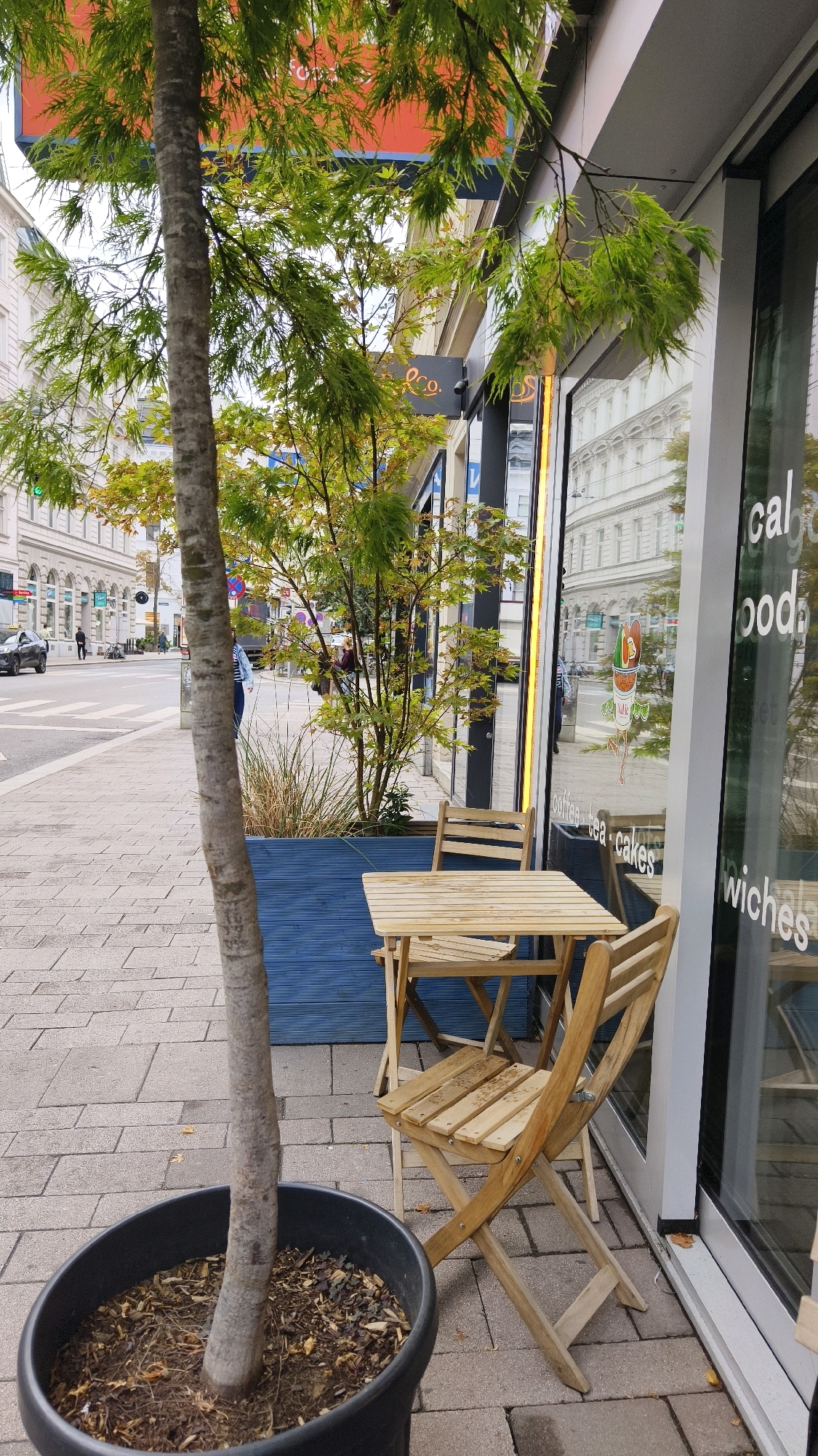 This image depicts an outdoor seating area for a cafe located in Vienna, Austria. The foreground features a large black planter containing a slender tree with green leaves and a gray, textured trunk. To the right of the tree is a small, light-colored wooden table and two chairs. The table is set with one chair pushed in and the other angled away.
Behind the seating area, a blue wooden planter box is visible, filled with dried grasses and a small tree with yellowing leaves. The cafe's storefront is visible on the right, with large windows reflecting the street scene. Text on the window reads "cal foods" and "wiches," suggesting it is a food establishment. The street, paved with light-colored hexagonal tiles, runs parallel to the cafe. Pedestrians and vehicles are present on the street in the background, including a dark car and several individuals walking. The buildings across the street have a classic European architectural style, characterized by multiple windows and ornate facades. The sky is overcast, suggesting a cloudy day.