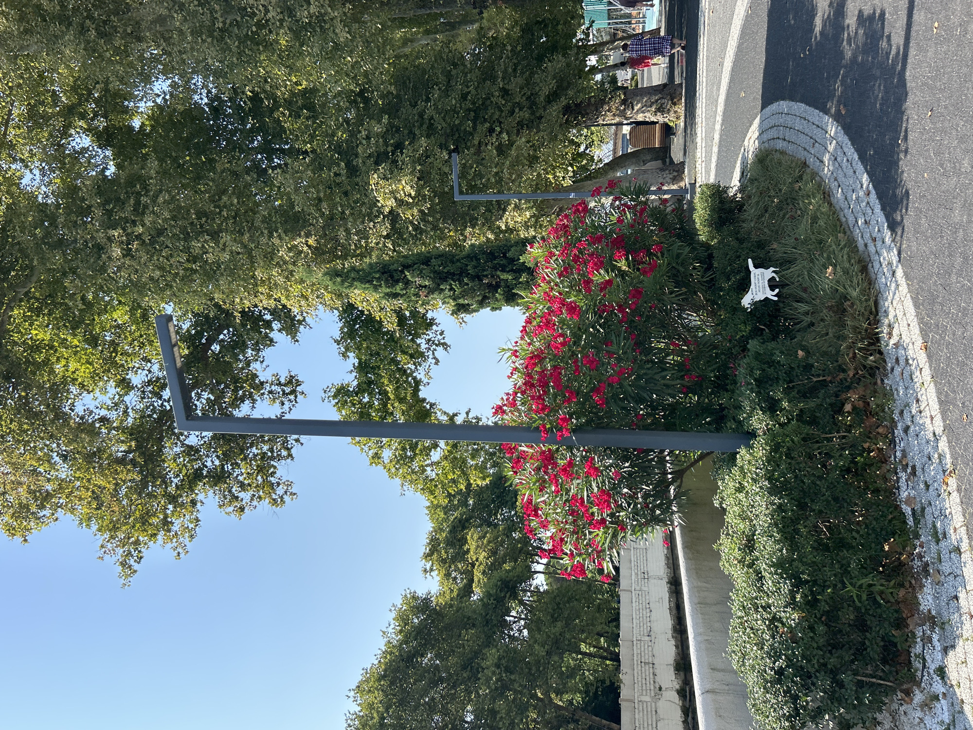 A sun-drenched scene captures a corner of a park in Sochi, Russia, likely near the coast due to the bright, clear sky and lush greenery. In the foreground, a well-maintained flower bed bursts with vibrant pink oleander blooms, contrasting with the dark green, manicured bushes surrounding it. A tall, slender cypress tree stands as a sentinel behind the oleander. A modern, gray lamppost rises from the flower bed, its minimalist design complementing the natural setting.
To the right, a paved walkway curves gently, its dark asphalt interspersed with decorative light gray and white cobblestone inlays. A small, white silhouette of a dog on a stake is planted in the grass near the flower bed. Beyond the walkway, the dappled shade of large, mature trees with broad leaves creates a pleasant atmosphere. In the background, a white retaining wall borders a raised area. Further back, two individuals, one in a blue and white checked dress and the other in a red and white checked dress, walk along the path, suggesting a public recreational area. The overall impression is one of tranquility and urban landscaping designed for public enjoyment.