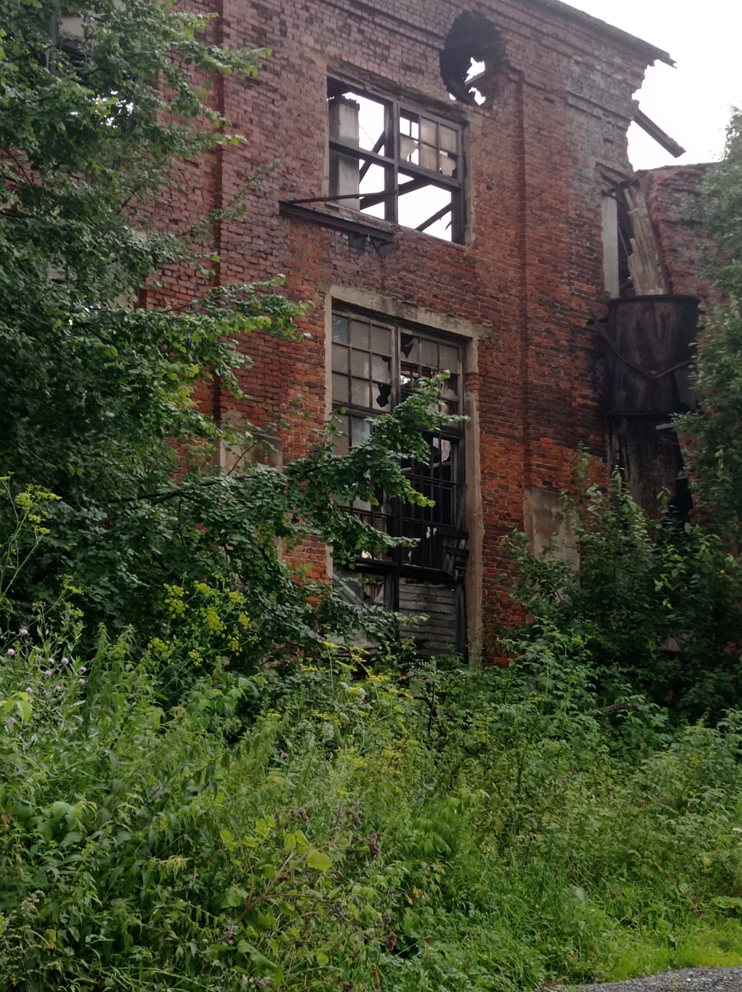 The image shows a dilapidated brick building overgrown with lush green vegetation. The building appears to be an abandoned industrial structure, possibly a former factory or administrative building, located in the city of Degtyarsk, Russia. Large sections of the brickwork are exposed, revealing the passage of time and decay. Several windows are broken, with jagged frames and missing panes, allowing glimpses into the dark interior. Some windows are boarded up or reinforced with metal grates. The roofline is irregular, with parts of the structure collapsed or missing.
In the foreground and surrounding the building, dense foliage, including trees, bushes, and various types of plants, obscures much of the lower levels. The vegetation is vibrant and suggests a damp, possibly temperate climate. The overall impression is one of nature reclaiming an industrial site. There are no people or visible signs of recent human activity. The scene is static and quiet, emphasizing the abandonment and natural overgrowth. The image is captured in natural daylight, with overcast conditions suggested by the diffused lighting and lack of strong shadows.