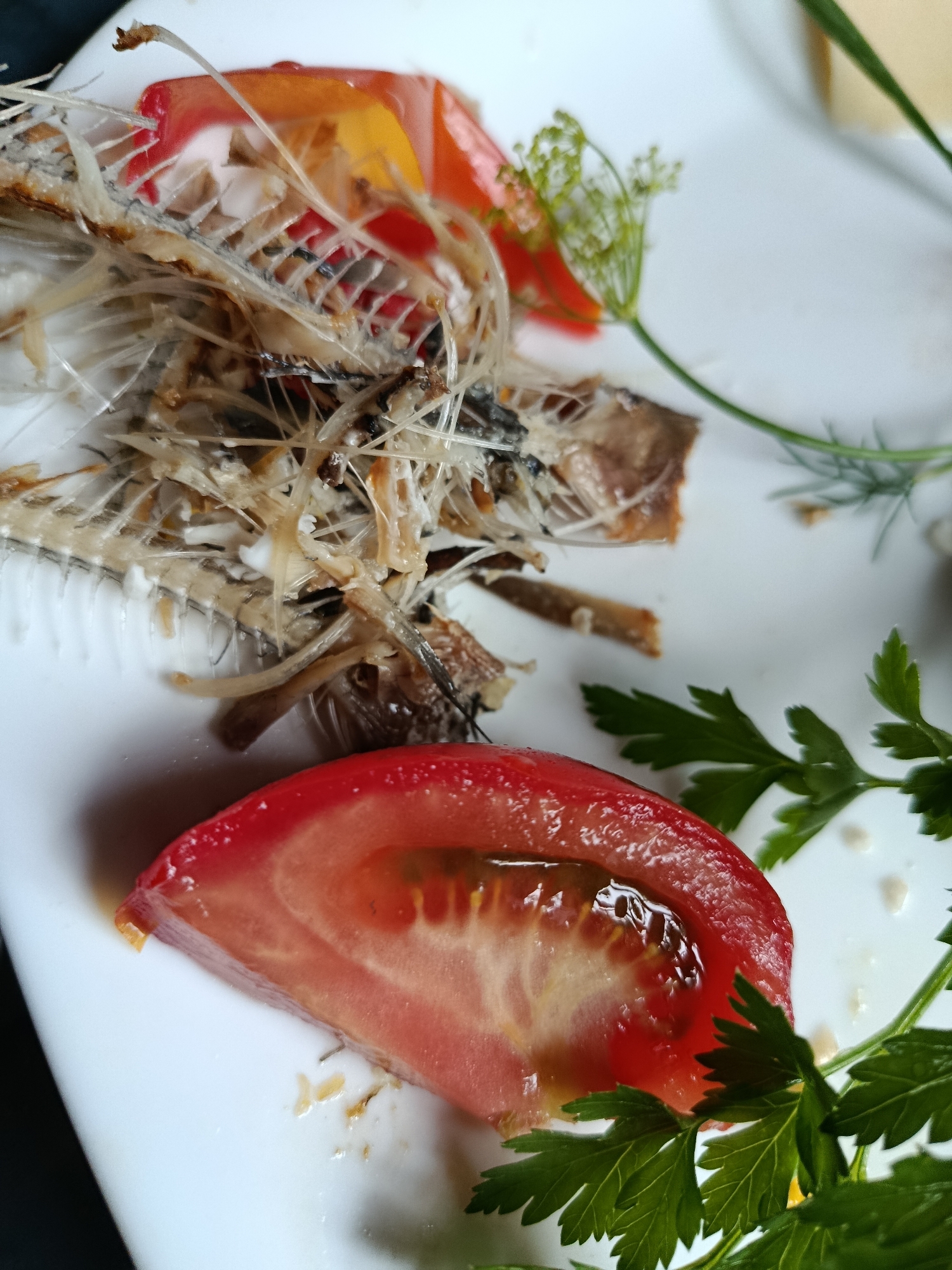 The image is a close-up shot of a plate with leftover food, featuring fish bones, a slice of tomato, and some herbs. The fish bones are the central element, with remnants of flesh still attached to them. A red tomato slice, showing its juicy interior, is positioned in the foreground. Green herbs, likely parsley and dill, are scattered around the plate. The background is a white surface, possibly a table or another plate. The lighting is somewhat soft, creating a shallow depth of field that blurs the background. There is no discernible information about the location in the city of Верея, Russia.
