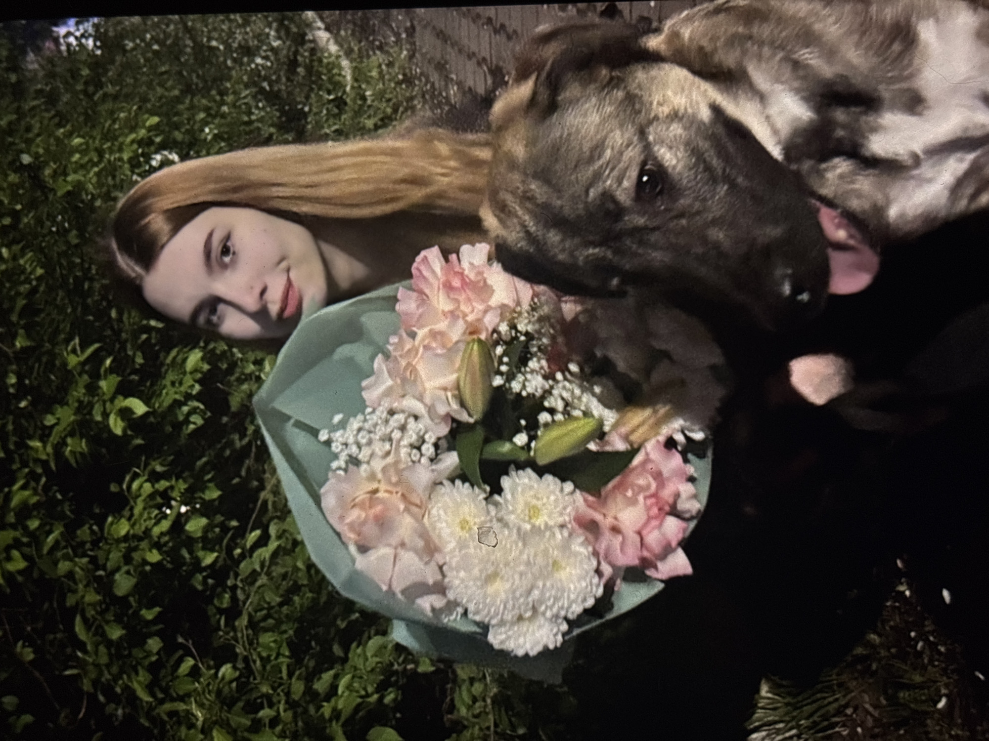 An outdoor, waist-up shot shows a young Caucasian woman with long blonde hair and a bouquet of pink and white flowers. She is smiling and looking slightly to her right. A medium-sized dog with brown and black fur and its tongue hanging out is in the foreground, obscuring part of the bouquet and the woman's lower body. The background is dark and features foliage. The scene is outdoors, suggesting a park or street environment. Based on the provided context, the location is the city of Omsk, Russia.