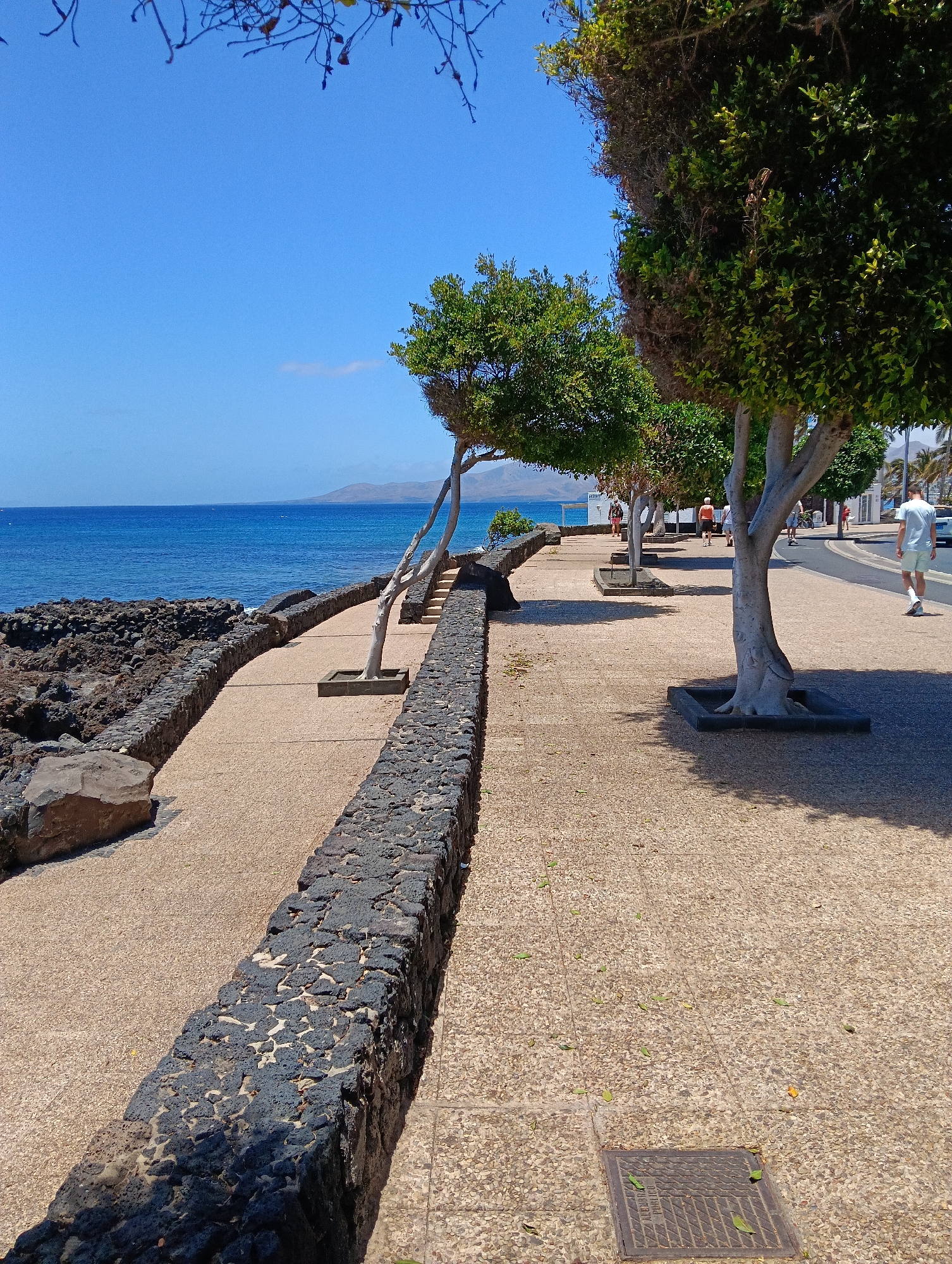 The image depicts a sun-drenched coastal promenade in Puerto Del Carmen, Spain, during what appears to be midday. The scene is dominated by a clear, vibrant blue sky meeting the equally blue waters of the Atlantic Ocean on the left. A paved walkway, composed of light brown aggregate, stretches into the background.
On the left, a low wall built from dark, rugged volcanic rock separates the promenade from a rocky shoreline where waves gently lap. Beyond the ocean, distant landforms or hills are visible under the bright sky.
Several trees with smooth, light-colored trunks line the promenade, casting distinct shadows on the ground, indicative of strong sunlight. Their lush green foliage provides bursts of color against the blue sky. One tree on the left side of the promenade leans noticeably towards the sea.
On the right side of the promenade, a paved road runs parallel, and in the distance, elements of an urban setting like buildings and palm trees can be seen. Several people are visible strolling along the promenade, suggesting a leisurely activity. In the foreground, a person in a light blue t-shirt and white shorts walks away from the camera.
Notable details include the unique dark volcanic rock formations used for the wall and scattered along the shore, characteristic of the Canary Islands. The weather is clear and sunny. Scattered green leaves dot the walkway. A metal drain cover, with text partially obscured but appearing to contain "P.I.P.I.O." or similar lettering, is visible embedded in the pavement in the foreground.