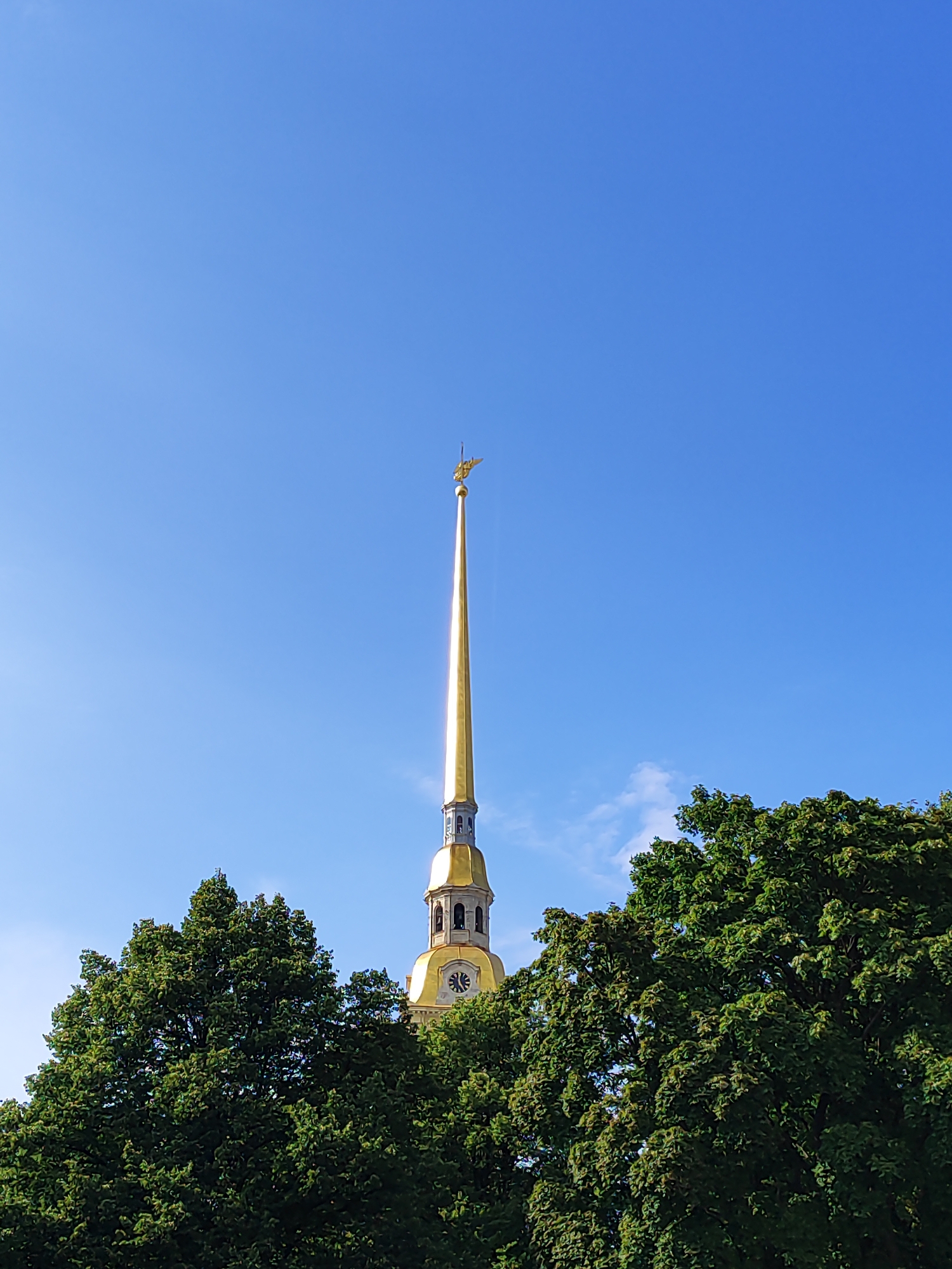A tall, slender, golden spire tops a domed structure with a clock face, partially obscured by lush green trees against a clear, bright blue sky. The spire is topped with a golden angel sculpture. The domed structure also features visible architectural details such as windows and what appear to be bell towers. The clock face on the dome shows the time as approximately 3:40. The scene is likely the Peter and Paul Cathedral in Saint Petersburg, Russia, due to the distinctive spire and angel. The image is taken from a low angle, looking upwards.