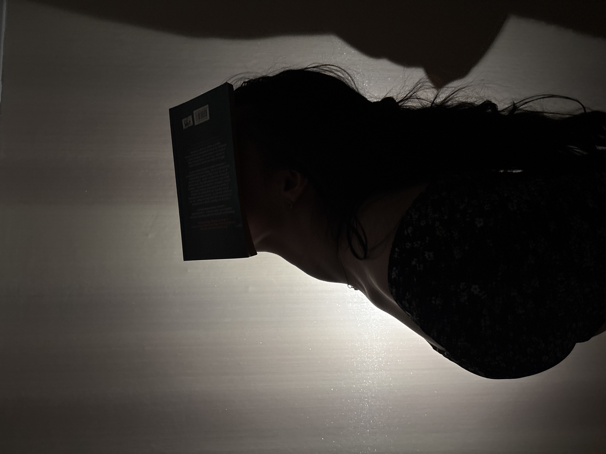 A person is depicted in a high-contrast, backlit vertical shot, holding an open book that obscures their face. The subject, likely female, has long, dark hair visible flowing behind their head. A delicate necklace with a small pendant is discernable around their neck. The person is clad in a dark garment with a subtle floral or patterned print.
The book is dark-colored, possibly green or black. On the visible side of the book (likely the back cover or spine), a barcode and the numbers "6.95" (or "695") are faintly legible. The interior pages display dense, illegible text.
The scene is dramatically lit by a strong, diffused light source positioned behind and below the subject, creating a stark silhouette against a brightly illuminated background. This background, possibly a wall, exhibits subtle horizontal striations and reflects the light with a sparkling effect, suggesting the presence of fine dust particles or a textured surface. A darker area in the upper portion of the image suggests a ceiling or overhead shadow.
The overall impression is one of quiet contemplation or reading in a dimly lit, intimate indoor setting, potentially at night. The exact emotions of the person are not visible due to their obscured face. This scene is set in Perm, Russia.