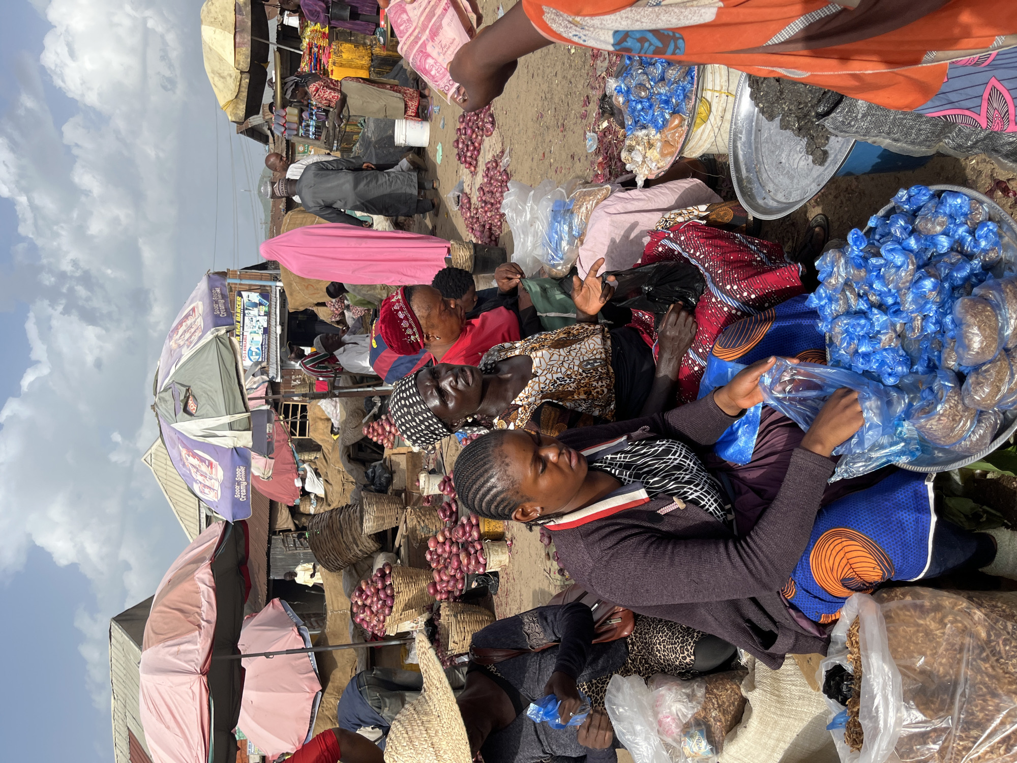 An outdoor market scene is captured in Rafin Par, Nigeria, under a cloudy sky. Several women are actively engaged in selling goods. In the foreground, a woman wearing a dark purple cardigan and a blue and orange patterned fabric sits with her legs crossed, holding a blue plastic bag. To her left, another woman with a straw hat and a patterned top is also holding a blue plastic bag. To the right, a woman with a black and white patterned headscarf and a white and brown patterned top looks off to the side. A partially visible person in an orange garment is in the far right, holding out a wad of Nigerian Naira currency, possibly engaging in a transaction with the seated women.
Behind the women, numerous baskets and piles of red onions are visible, indicating a produce market. Several umbrellas, some pink and some a faded green and purple, provide shade for the stalls. In the background, various structures and more people are present, suggesting a bustling marketplace. A person in a bright pink hijab stands further back, and other individuals in traditional attire can be seen amidst the stalls. The ground is covered in dirt and scattered produce. The overall impression is one of lively commerce in a Nigerian town.