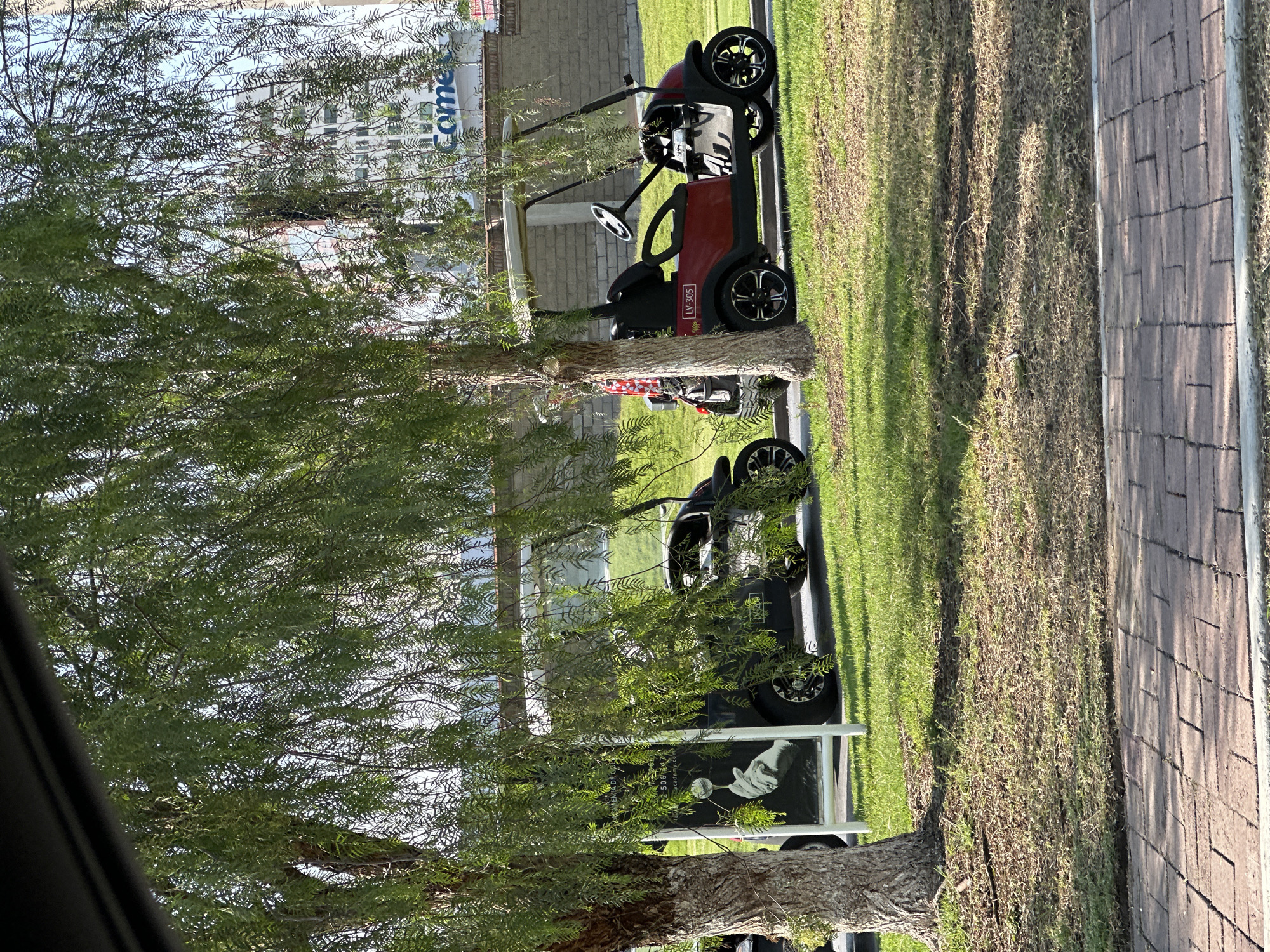 The image depicts a golf cart parked on a grassy area next to a paved pathway in what appears to be an outdoor recreational or residential setting. A tree partially obscures the view of the golf cart and surrounding environment. There is a building in the background, and the environment is sunlit. The text on a building reads "come". The license plate on the golf cart reads "LV-305". There is no indication of the specific location being San Bernardino Tlaxcalancingo, Mexico.
