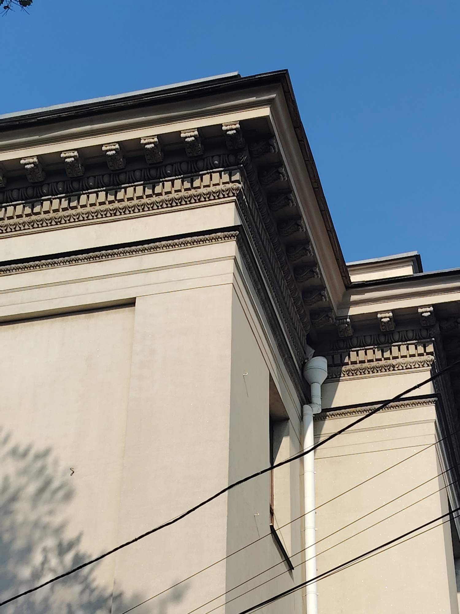 The image shows a close-up view of the architectural details of a building in Rostov-on-Don, Russia, on a clear day. The building features classical architectural elements such as dentils and ornate friezes along the cornice. A white downspout is visible running vertically along the side of the building. Several black electrical wires are strung across the facade. Shadows from tree branches are cast upon the light-colored wall, indicating the presence of foliage nearby. The sky is a clear, bright blue. No people or specific actions are depicted. The scene appears to be an exterior architectural detail of a building, possibly a historical or government structure, in an urban environment.