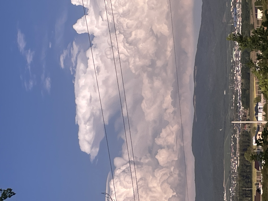 The image displays a wide-angle landscape of the city of Pobeda, Russia, positioned at the foothills of a verdant mountain range. The upper portion of the frame features a clear blue sky with prominent, white, vertically developed cumulus clouds, some displaying an anvil-like formation on the left, indicative of cumulonimbus development. Five dark, parallel power lines span horizontally across the middle-upper section, partially intersecting the cloud formations. Below these lines, a dark green, undulating mountain range stretches across the mid-ground. The lower half of the image reveals the sprawling urban environment of Pobeda, characterized by numerous residential buildings with light-colored roofs, interspersed with green fields and trees. The immediate foreground includes a light green field, several isolated residential structures, and dark green foliage from tree branches visible on the lower left and right edges. A white utility pole stands upright in the mid-foreground, slightly right of center. No individuals, specific actions, or interactions are discernible within the scene. The lighting indicates daytime conditions.