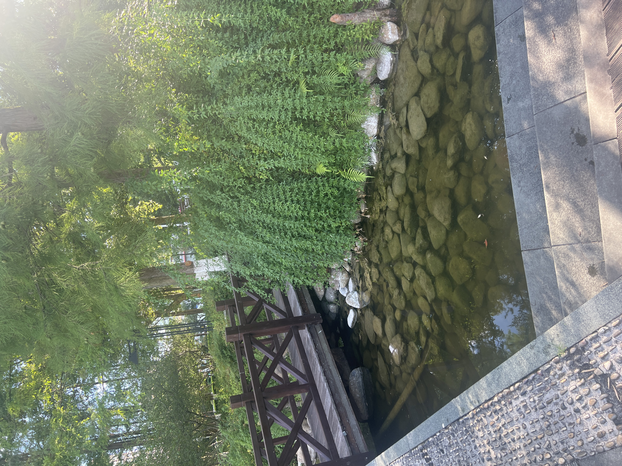 The image depicts a serene outdoor scene in Liandu District, China, likely a park or garden. A wooden bridge with a dark brown railing spans a shallow body of water filled with large, smooth stones. The water is clear enough to see the submerged stones. Lush green vegetation cascades down the bank on the right side of the bridge, creating a dense, curtain-like effect. The background features tall trees with feathery green foliage, some of which are illuminated by sunlight filtering through the branches. On the left side of the water, a textured pathway made of small, rounded stones borders the edge. The overall impression is one of natural beauty and tranquility. There are no people visible in the image.