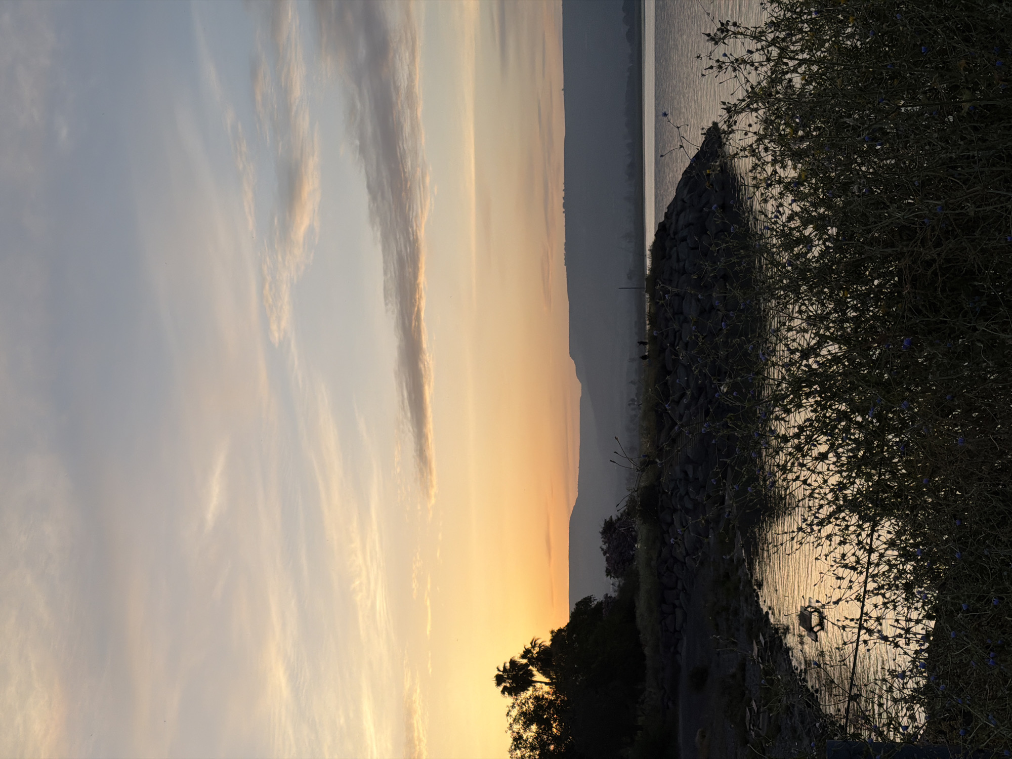 The image depicts a landscape at sunset, likely located in the Emek HaYarden Regional Council, Israel. The sky transitions from pale blue to orange with wispy clouds. The foreground contains vegetation, including a large, bushy plant, and several silhouetted palm trees. Behind the vegetation is a body of water, possibly the Sea of Galilee, reflecting the sky's orange hue. The far shore is lined with dark, indistinct hills or mountains.