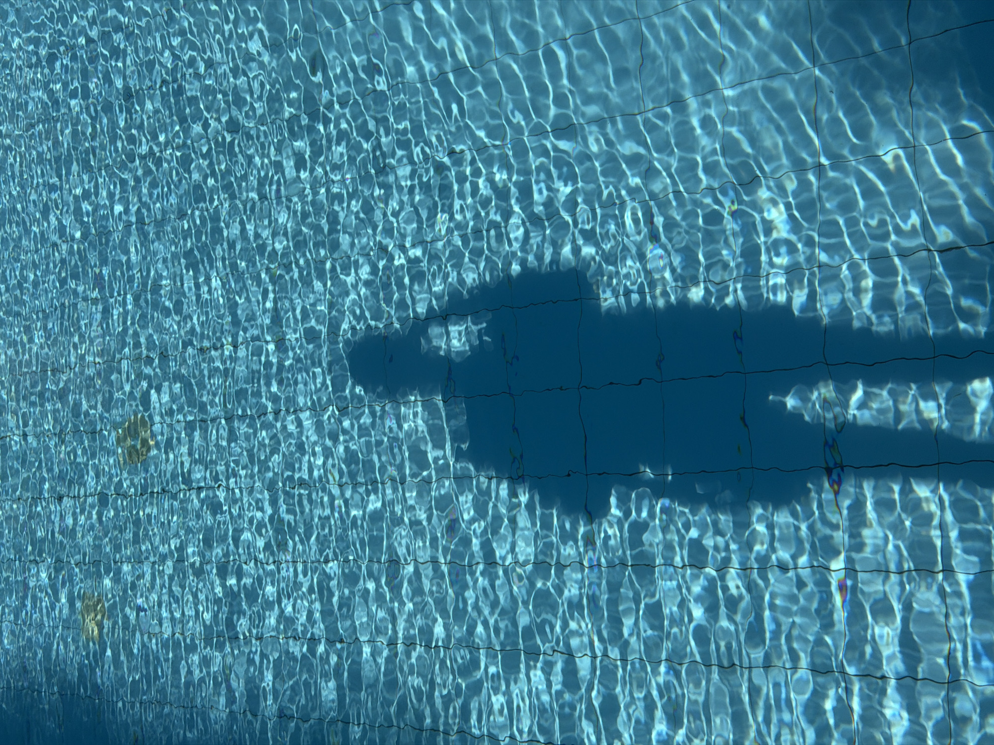 The image displays an overhead perspective looking down into a clear swimming pool. The primary subject is the light blue tiled bottom of the pool, visible through the gently rippling water. Sunlight penetrates the water, casting intricate, wavy patterns of bright light and dark shadows across the tiled surface, which is marked by a grid of dark lines.
A prominent, elongated shadow of a person, likely the photographer, is cast across the right side of the pool floor, partially obscuring the tiles beneath it. This distinct shadow suggests bright sunshine, indicating it is daytime, possibly morning or afternoon. The overall scene conveys a calm and bright atmosphere.
There are no other discernible objects or people in the image apart from the shadow. No specific activity is depicted other than the implicit act of photographing the pool. No text is visible. The location context is Nha Trang Ward, Vietnam.