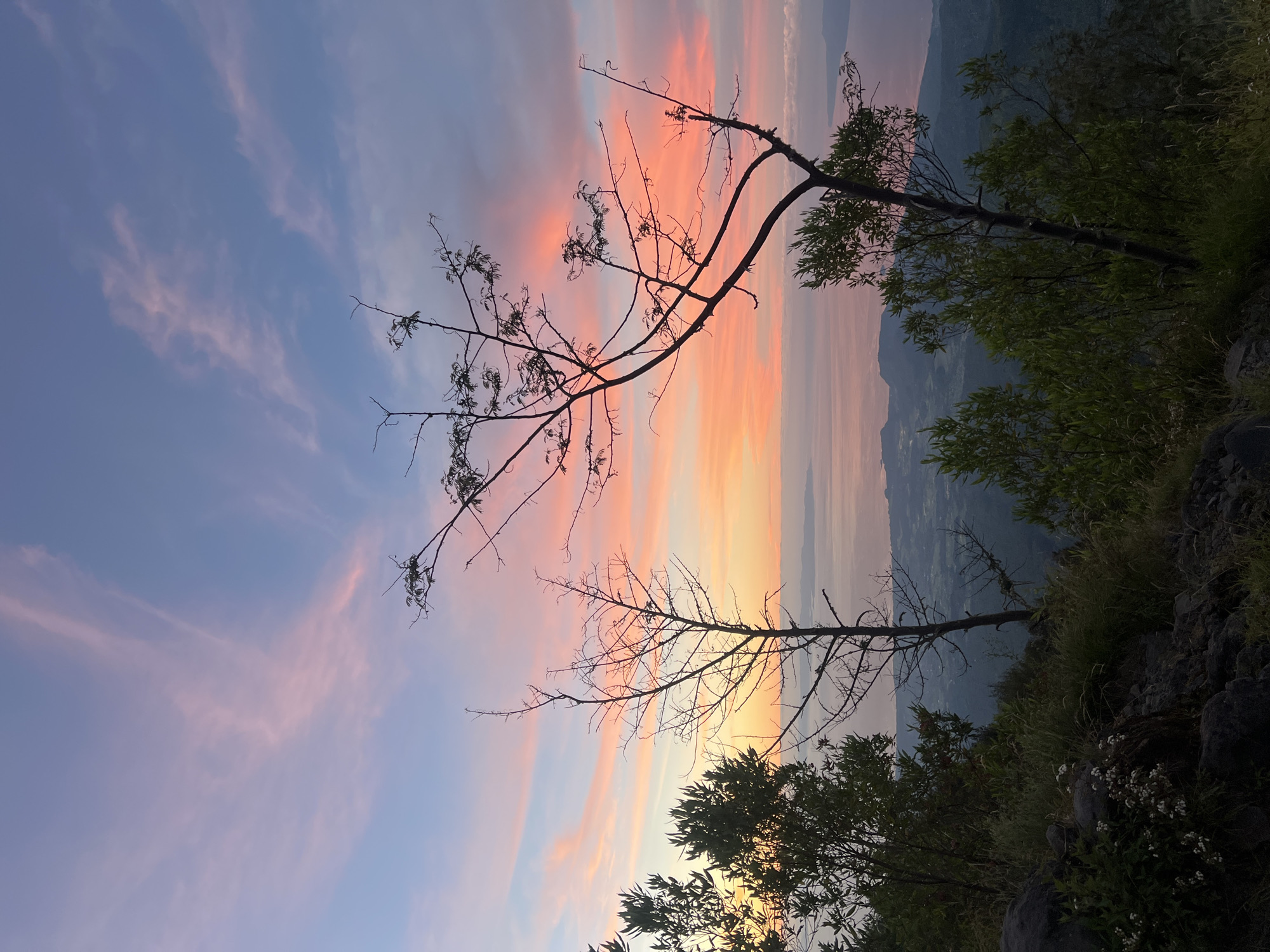 The image depicts a vibrant sunset over Selat, Indonesia, likely viewed from an elevated position. The sky transitions from blue at the top to shades of pink, orange, and yellow near the horizon. Two bare tree branches are silhouetted against the colorful sky. Below, lush green vegetation covers a rocky hillside, with glimpses of a valley and distant mountains visible in the background. The perspective suggests the photo was taken from a high vantage point, possibly a mountain or hill overlooking Selat. No people are visible.