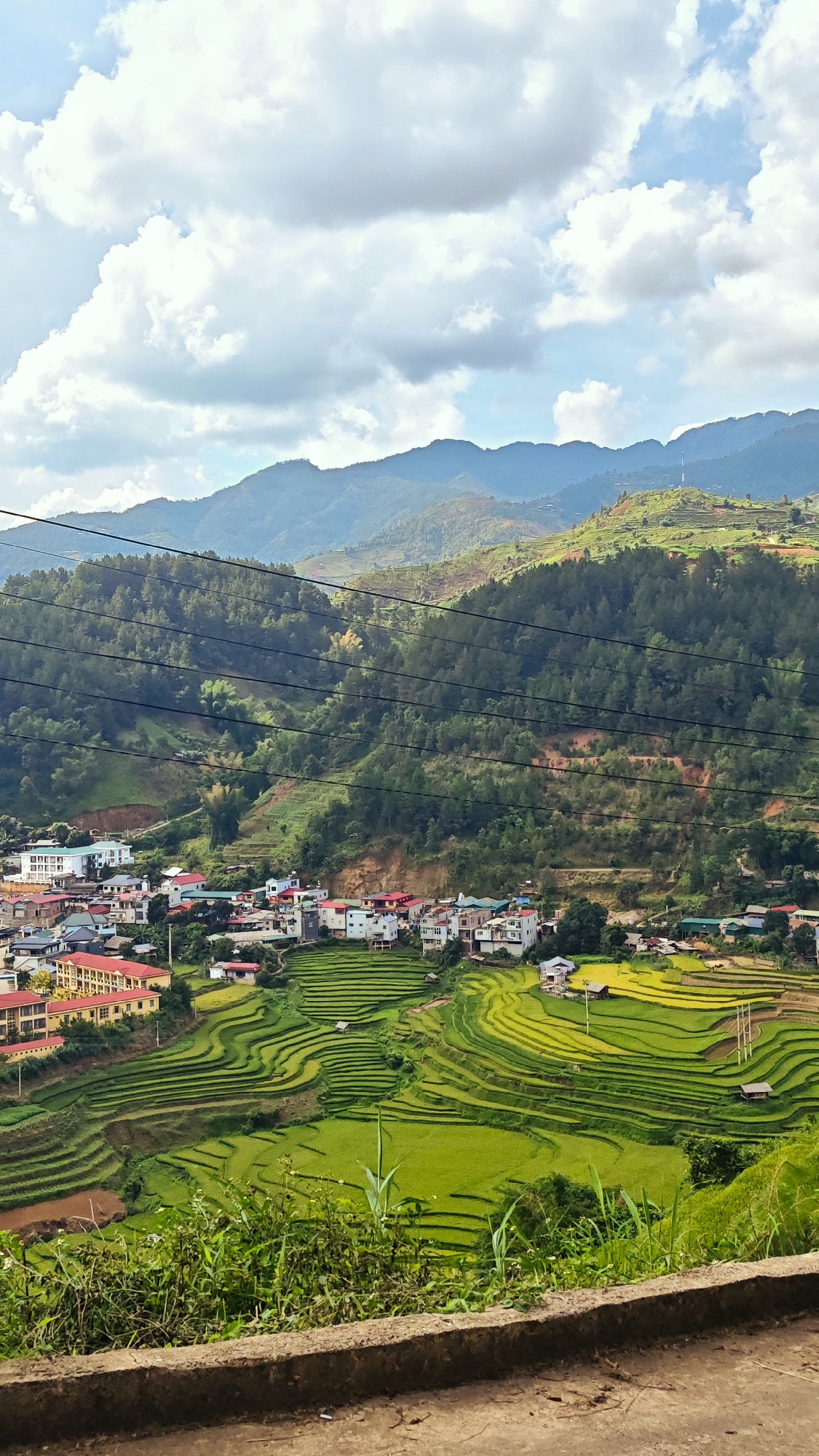The image presents a panoramic landscape view of a village nestled amidst extensive terraced rice fields in a mountainous region, characteristic of Lao Chai, Vietnam.
The upper third of the frame is dominated by a bright blue sky dotted with large, fluffy white cumulus clouds. Below the sky, layers of green mountains and hills stretch into the distance, with many slopes densely covered in trees and some showing signs of cultivation or terracing.
In the mid-ground, a village is clustered on a hillside. It comprises numerous houses and buildings with roofs of various colors including red, white, blue, and grey. A prominent larger building with yellow walls and a red roof stands out on the left side of the village. Multiple black power or communication lines stretch horizontally across the scene, partially overlaying the mountains and some village structures.
Below the village, the vibrant green and yellowish-green rice terraces are a striking feature, curving and layering along the contours of the hills. These fields appear to be in different stages of growth, with some possibly nearing harvest. Small, isolated huts or sheds are scattered within the terraced fields.
The foreground shows a concrete ledge or road edge, with wild green grasses and other foliage growing in front of it.
The time of day appears to be daytime, likely late morning or early afternoon, under bright, partly cloudy skies. No people or visible text are present in the image. The scene conveys a sense of serene natural beauty and the distinctive agricultural landscape of the region.