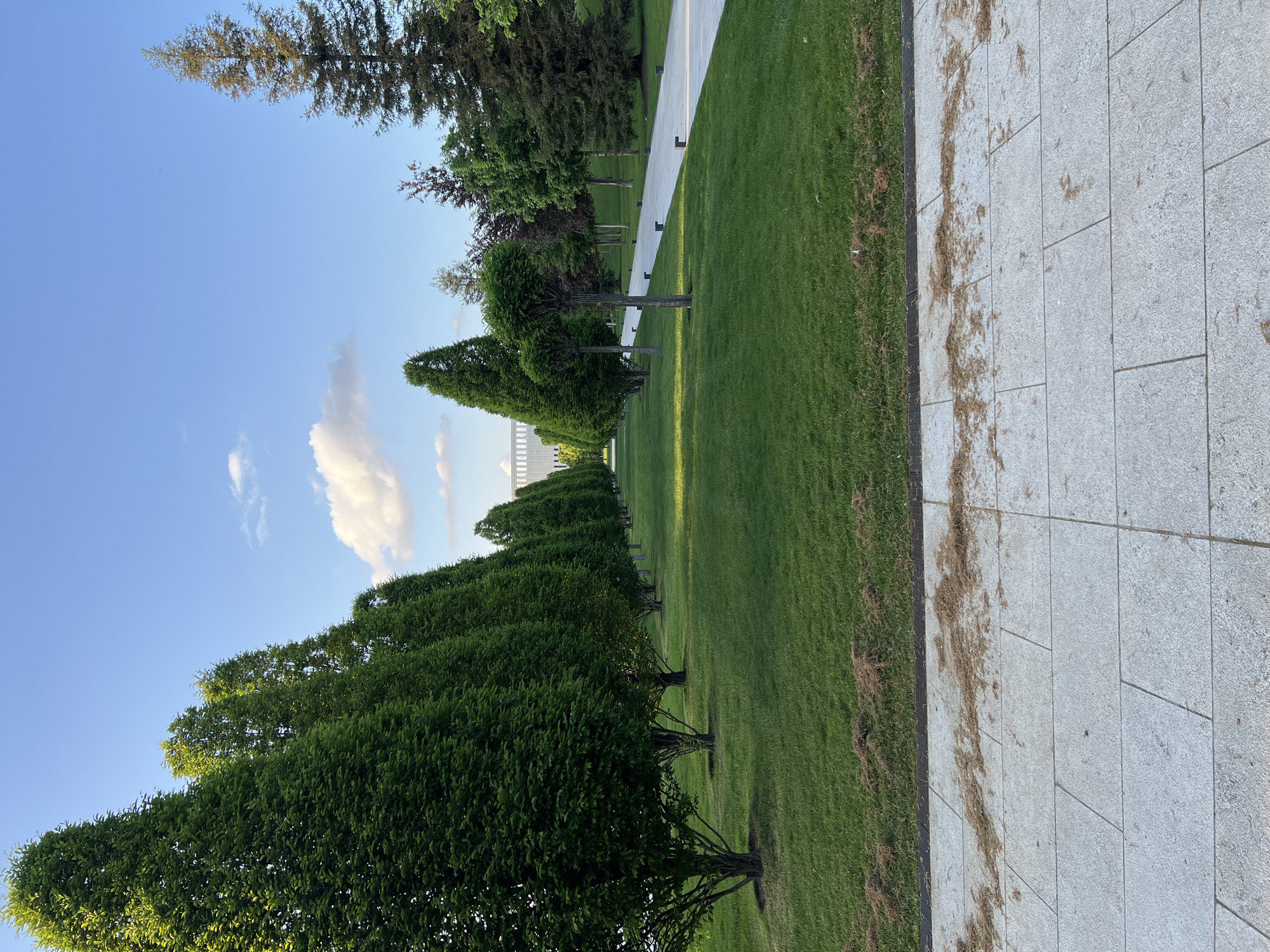 The image shows a park scene in Krasnodar, Russia. A straight line of trimmed, rounded trees flanks a grassy area on the left. To the right of the grass is a paved walkway constructed of large, rectangular tiles. The walkway has fallen leaves scattered on its surface. In the background, a modern building can be seen. The sky is blue with a few scattered clouds. The photo is taken on a sunny day, with noticeable shadows cast by the trees. Other taller, less manicured trees are visible further back in the park. There are no people visible in the scene.