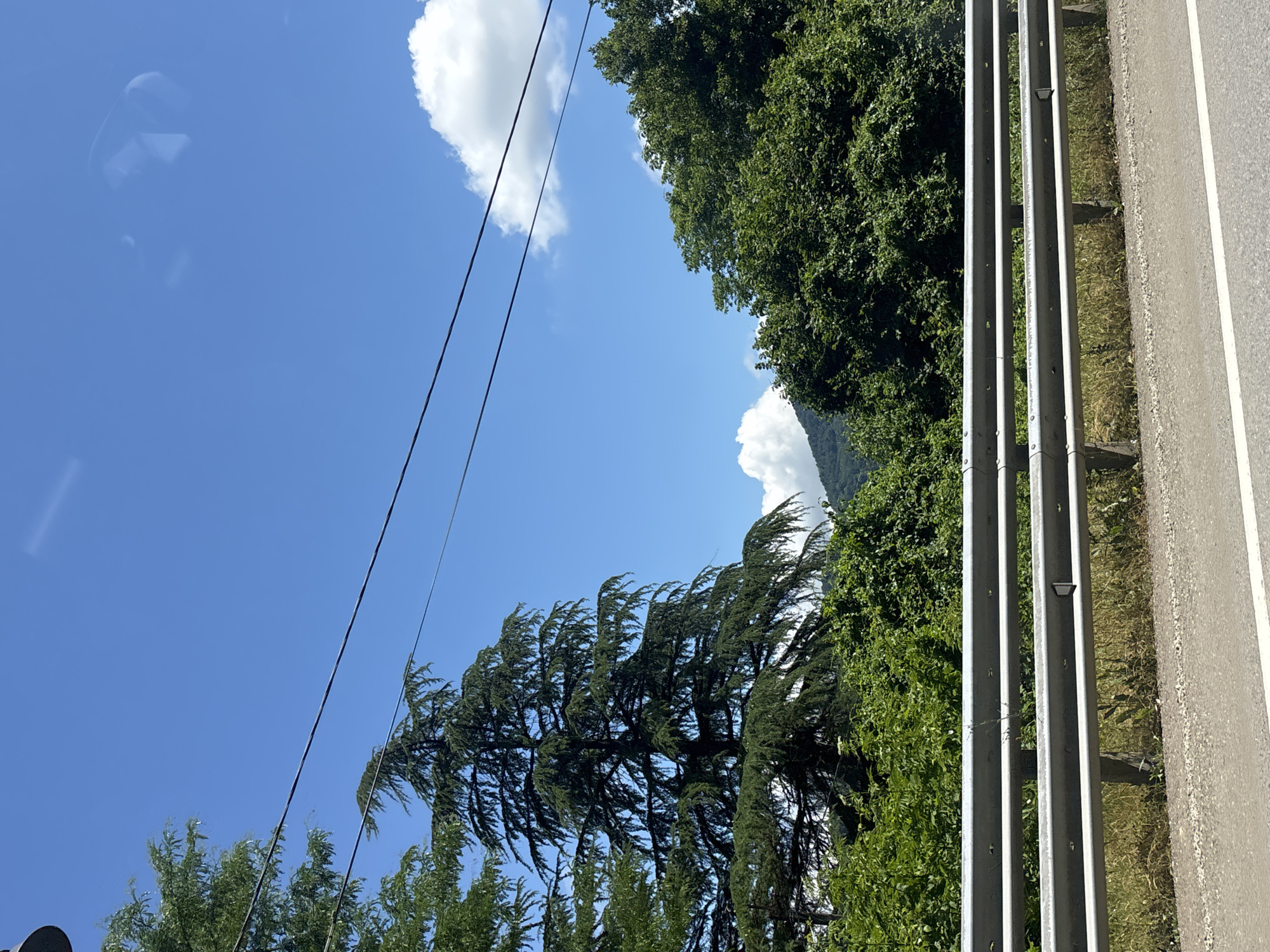 The image depicts a roadside scene under a clear blue sky with scattered white clouds. In the foreground, a metal guardrail runs horizontally across the frame, separating the road from a grassy embankment. Beyond the guardrail, lush green trees and foliage dominate the landscape, with a large conifer tree being particularly prominent on the left side. In the distance, rolling hills are visible, partially obscured by trees. The image appears to have been taken from a moving vehicle, as evidenced by the slight blur and reflections in the sky. The specific location in Kazachiy Brod, Russia, is not visually indicated within the image itself.