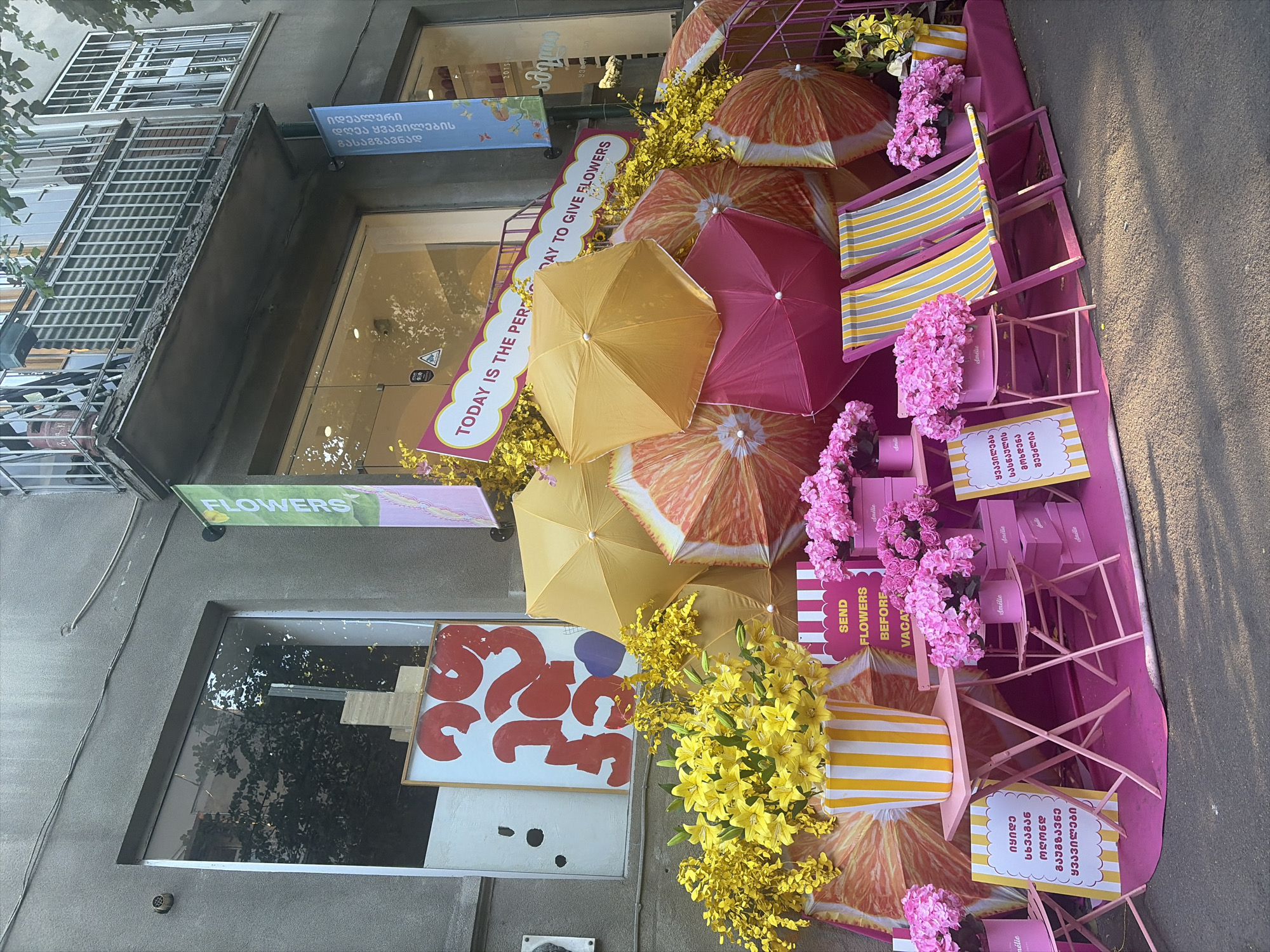The image depicts a vibrant floral display outside a shop in Tbilisi, Georgia. The storefront features large windows, and above the display, banners hang, one reading "FLOWERS" in English and another in Georgian. The display itself is characterized by an abundance of pink and yellow flowers. Pink hydrangeas and roses are arranged in pink boxes and planters. Yellow lilies and other yellow flowers are showcased in a yellow and white striped vase and other containers.
The display incorporates several decorative elements, including open umbrellas with orange slice patterns, and pink and yellow striped deck chairs. Two small pink tables with chairs are part of the arrangement, each displaying a sign with text in Georgian and a yellow and white striped border. A larger sign with a red border and white text reads "TODAY IS THE PERFECT DAY TO GIVE FLOWERS".
The shop's exterior wall is made of concrete. The ground in front of the display is paved, and the scene is illuminated by natural daylight, casting shadows. No people are visible in the image. The overall impression is a festive and colorful storefront advertising a flower shop.