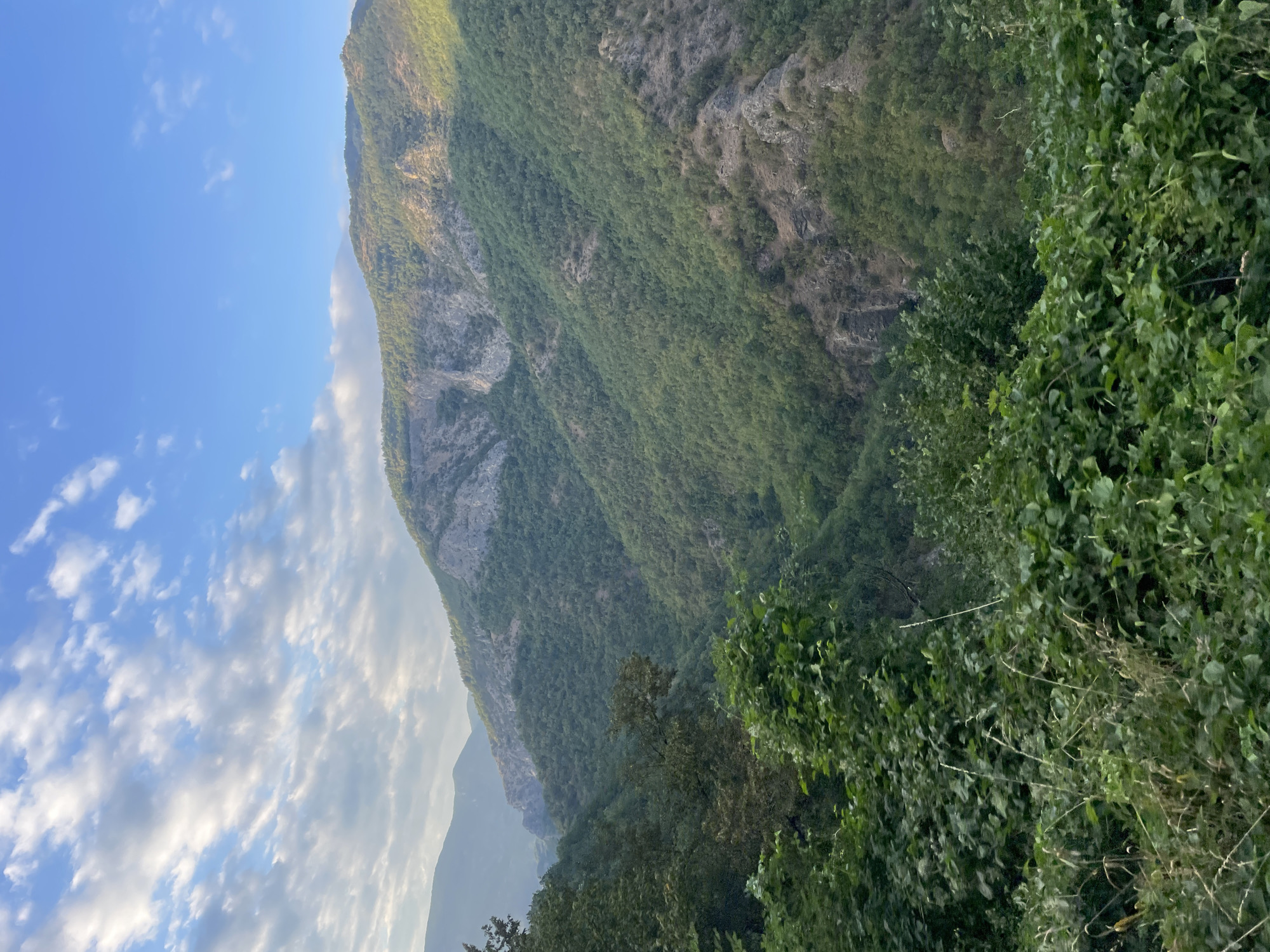 The image shows a view of a mountainous, forested landscape. The foreground is dominated by lush green foliage, appearing to be bushes and low-lying trees. Behind this, the scene opens up to a deep valley, with steep, tree-covered slopes rising on either side. The far side of the valley features larger, more rugged mountains with exposed rock faces, some of which are illuminated by sunlight, creating a contrast with the shaded slopes. The sky above is a clear blue, with scattered, wispy white clouds, particularly towards the left side of the frame. The overall impression is one of a natural, undeveloped wilderness. This specific scene depicts a mountainous terrain in or around Yugovo, Bulgaria, characterized by dense forests and rocky inclines.