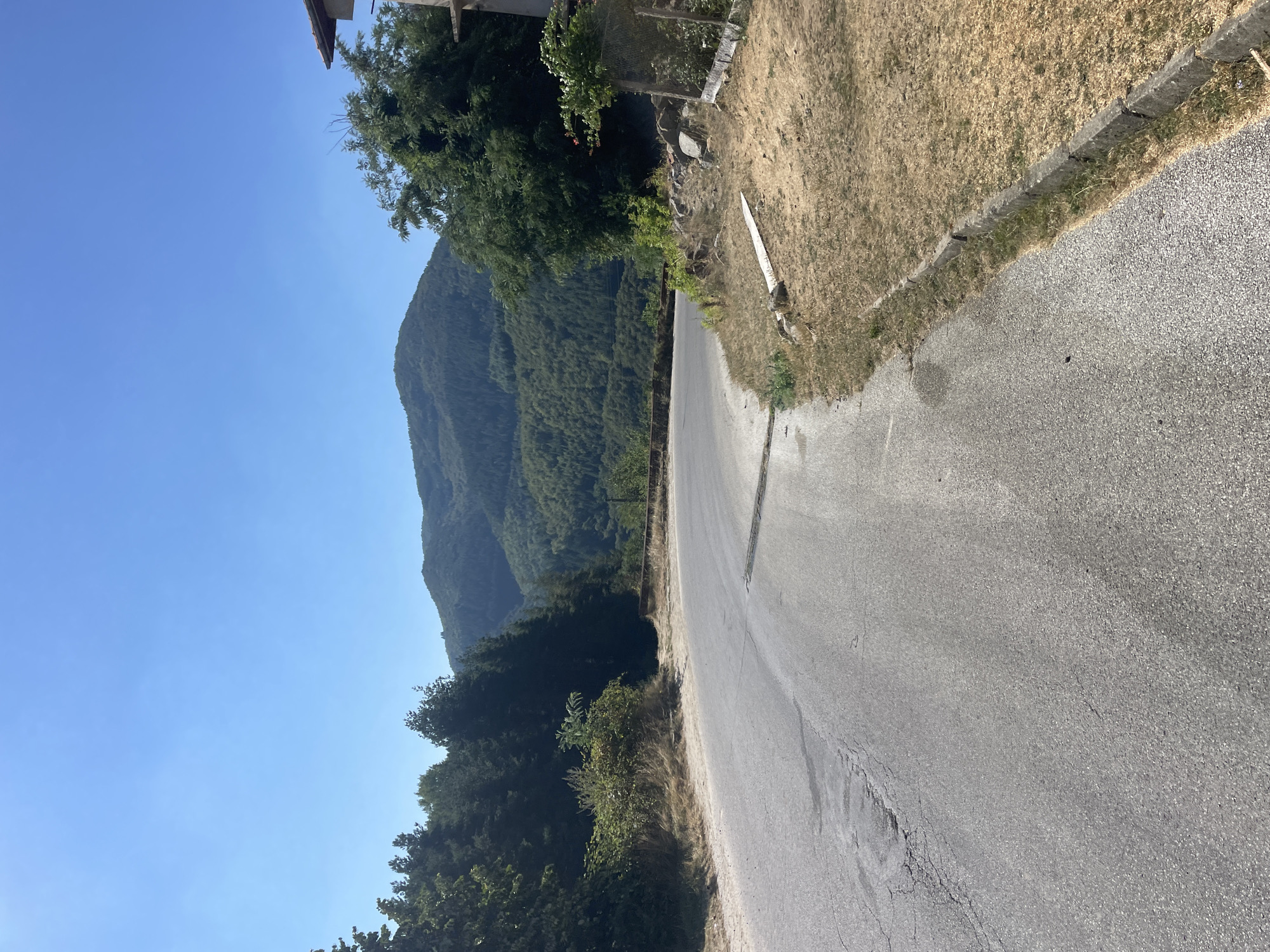 The image depicts a winding paved road in Davidkovo, Bulgaria, on a clear, sunny day. The road curves to the right, disappearing around a bend. To the left of the road, a dense forest of tall, dark green trees rises, partially obscuring a lush, green mountain in the background. The mountain's slopes are covered in trees, with a hazy, lighter green hue indicating distance. On the right side of the road, the terrain is dry and covered in yellowed grass and brush. A low concrete curb runs along the edge of the road. In the foreground on the right, a weathered building with a tiled roof is partially visible, with a chain-link fence and some vegetation. The sky is a bright, cloudless blue.